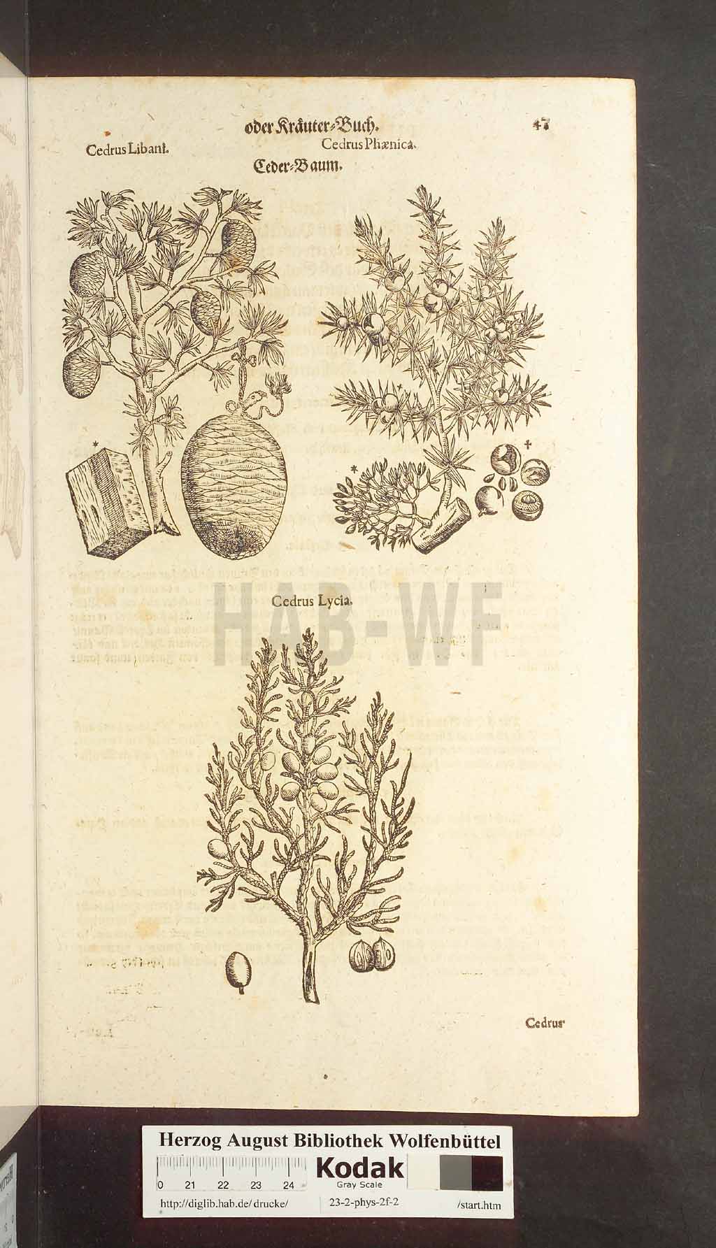 http://diglib.hab.de/drucke/23-2-phys-2f-2/00047.jpg