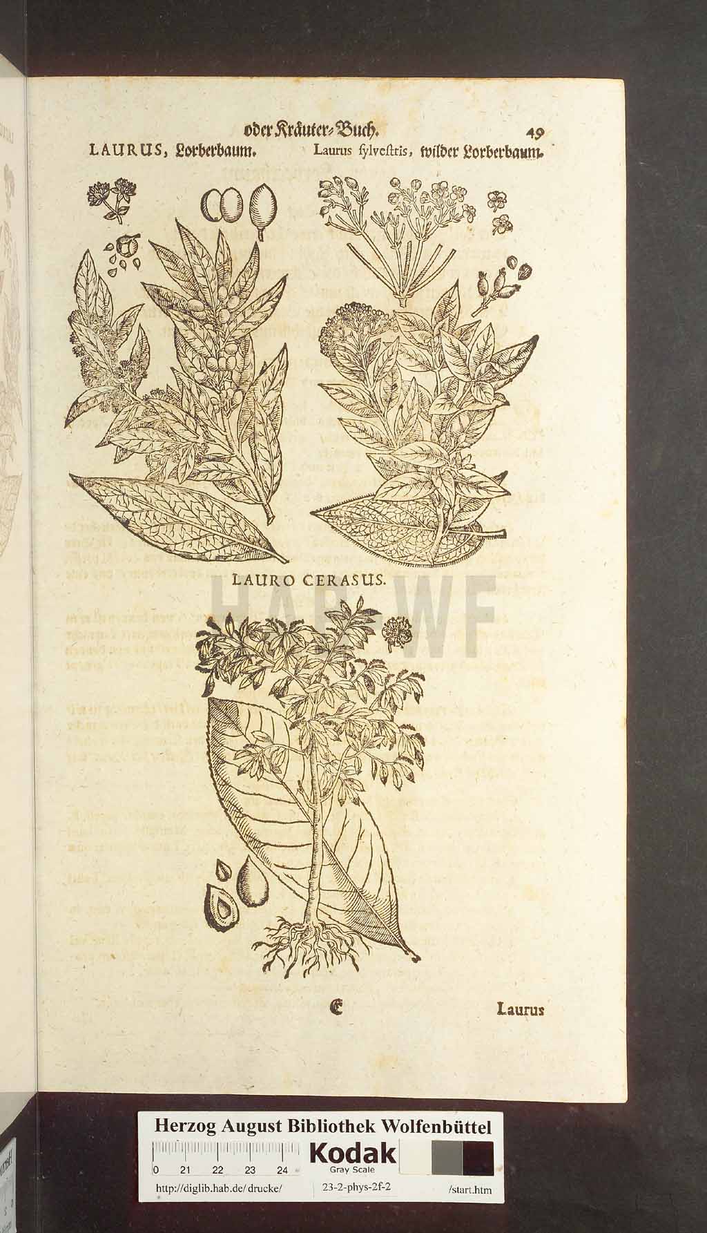 http://diglib.hab.de/drucke/23-2-phys-2f-2/00049.jpg