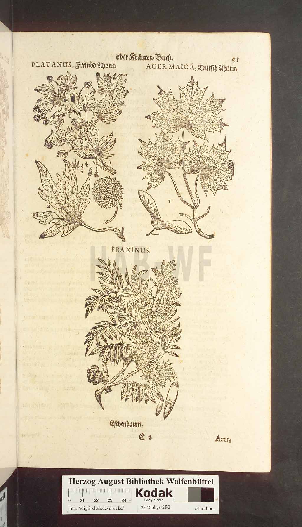 http://diglib.hab.de/drucke/23-2-phys-2f-2/00051.jpg
