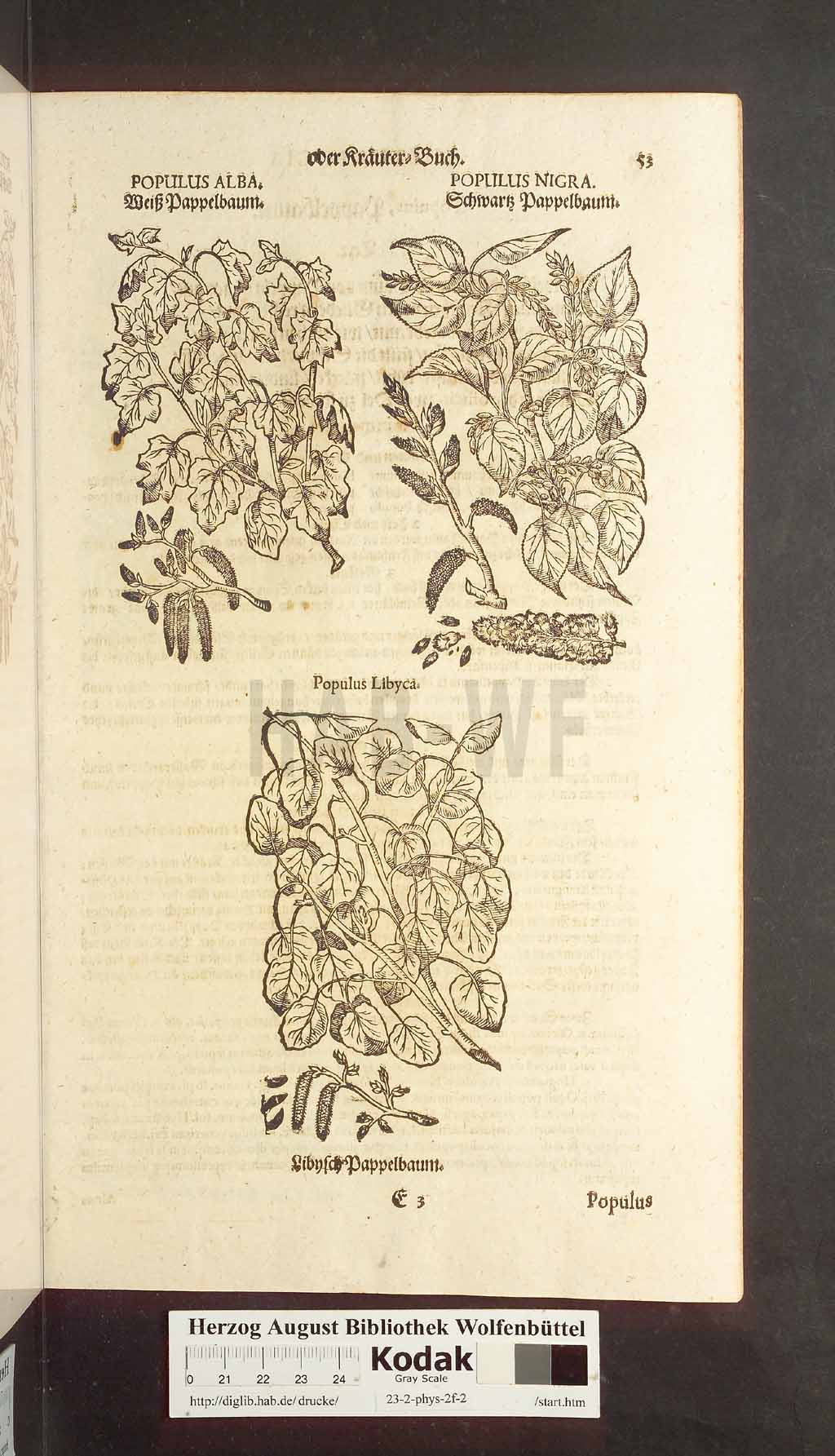 http://diglib.hab.de/drucke/23-2-phys-2f-2/00053.jpg