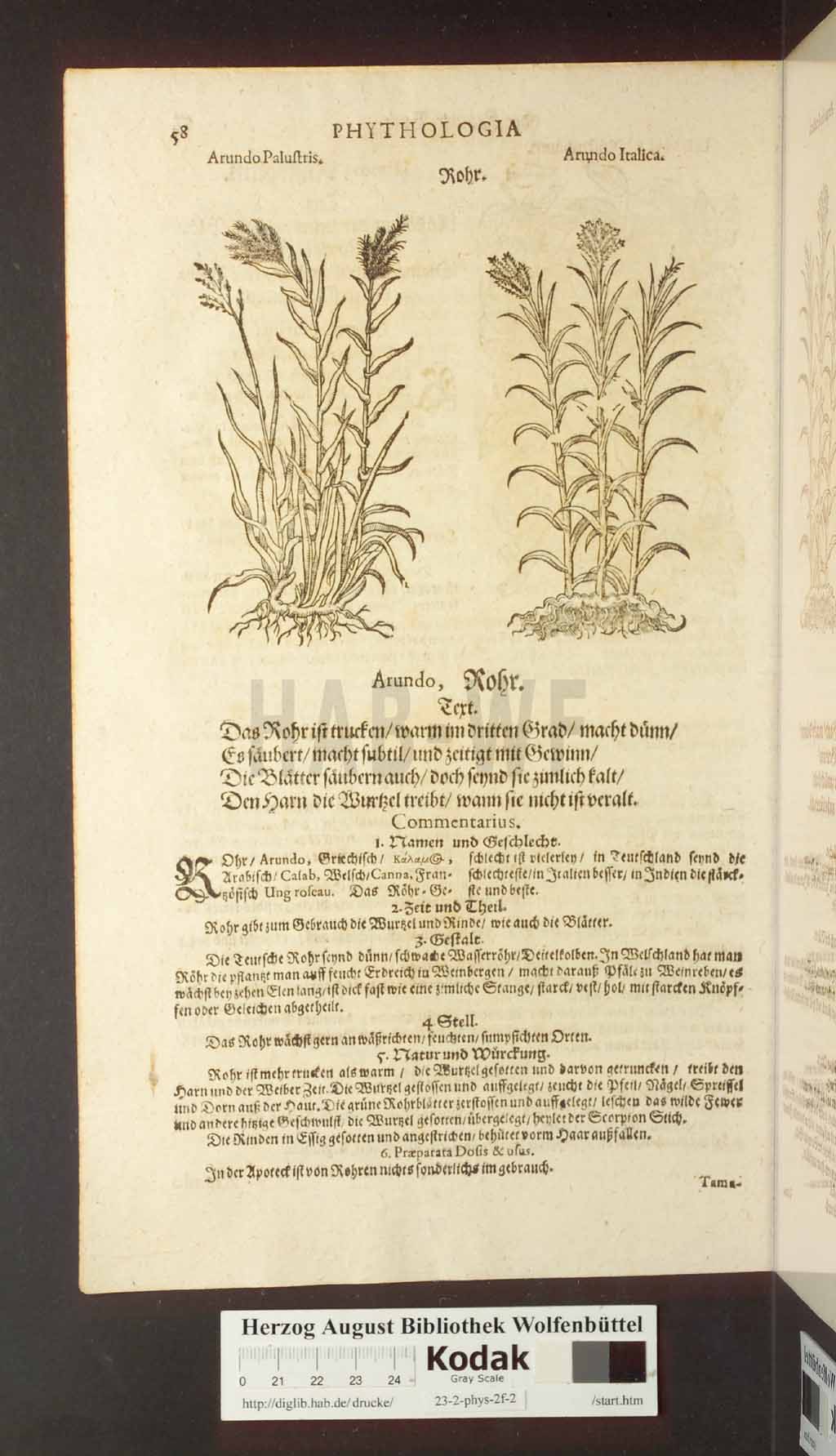 http://diglib.hab.de/drucke/23-2-phys-2f-2/00058.jpg