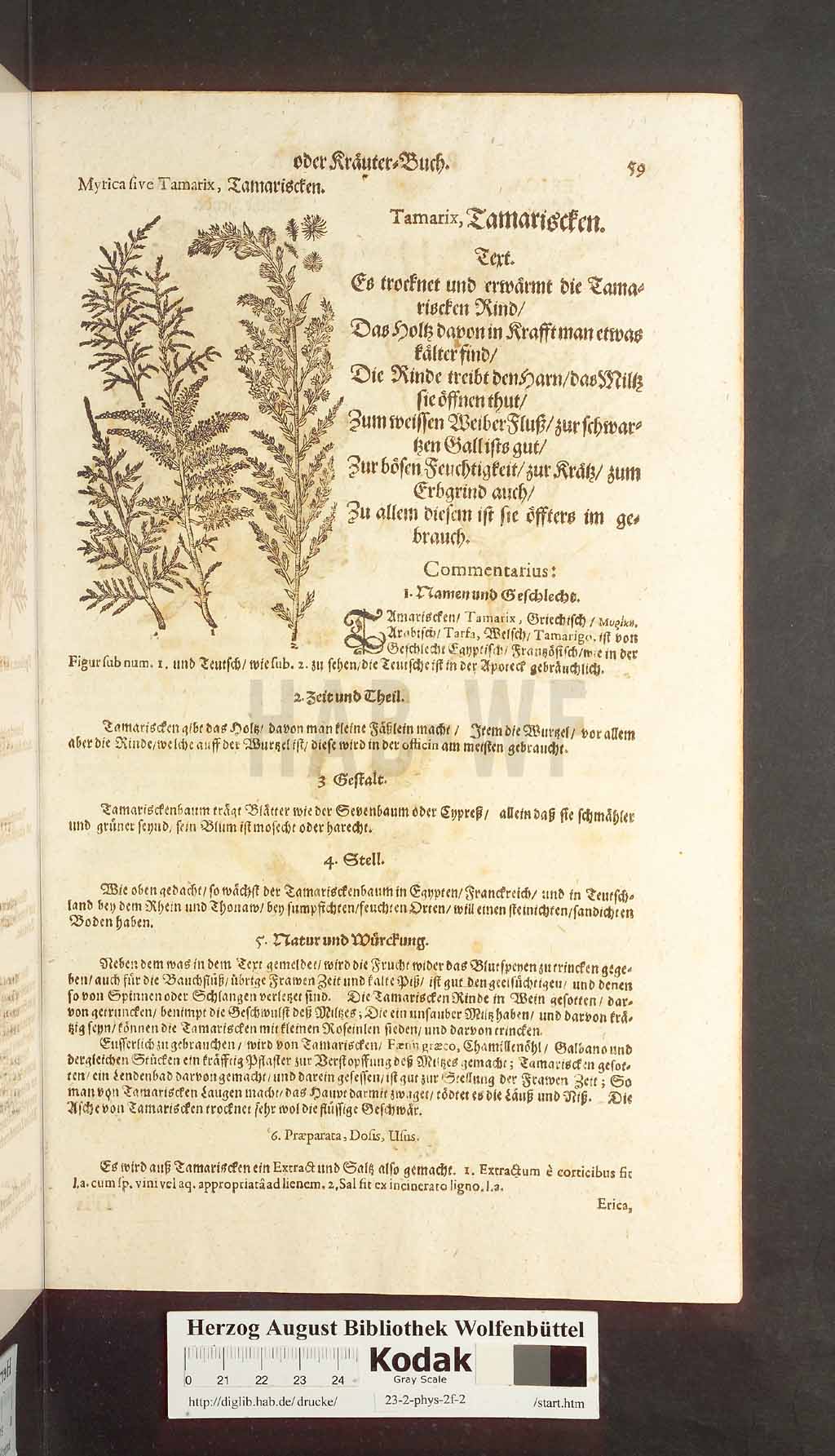http://diglib.hab.de/drucke/23-2-phys-2f-2/00059.jpg