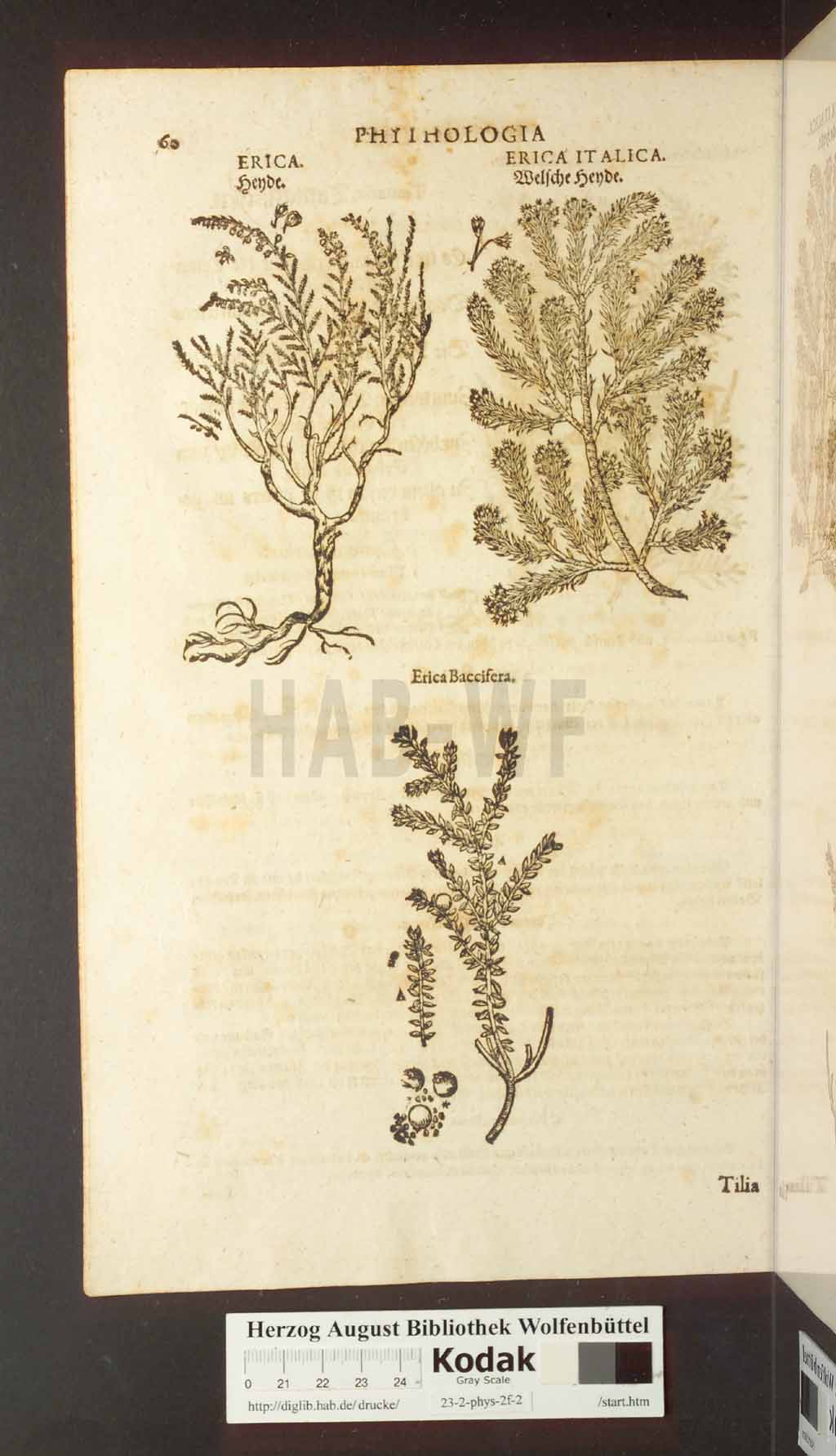 http://diglib.hab.de/drucke/23-2-phys-2f-2/00060.jpg