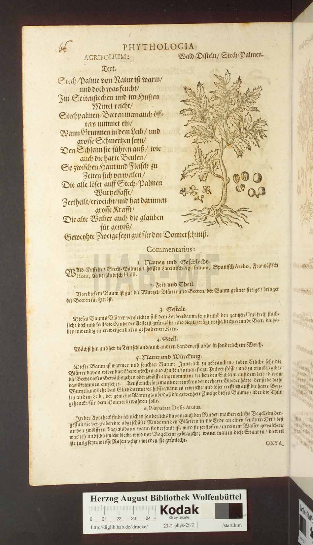 http://diglib.hab.de/drucke/23-2-phys-2f-2/00066.jpg