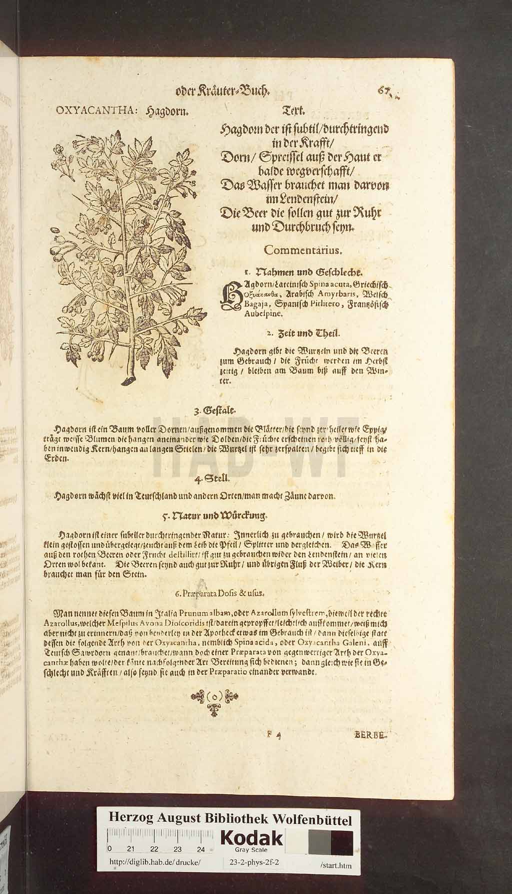 http://diglib.hab.de/drucke/23-2-phys-2f-2/00067.jpg