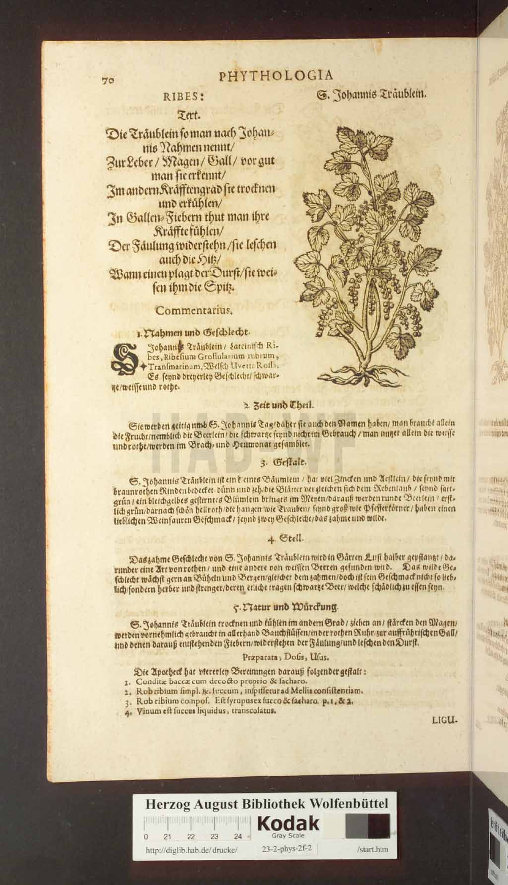 http://diglib.hab.de/drucke/23-2-phys-2f-2/00070.jpg