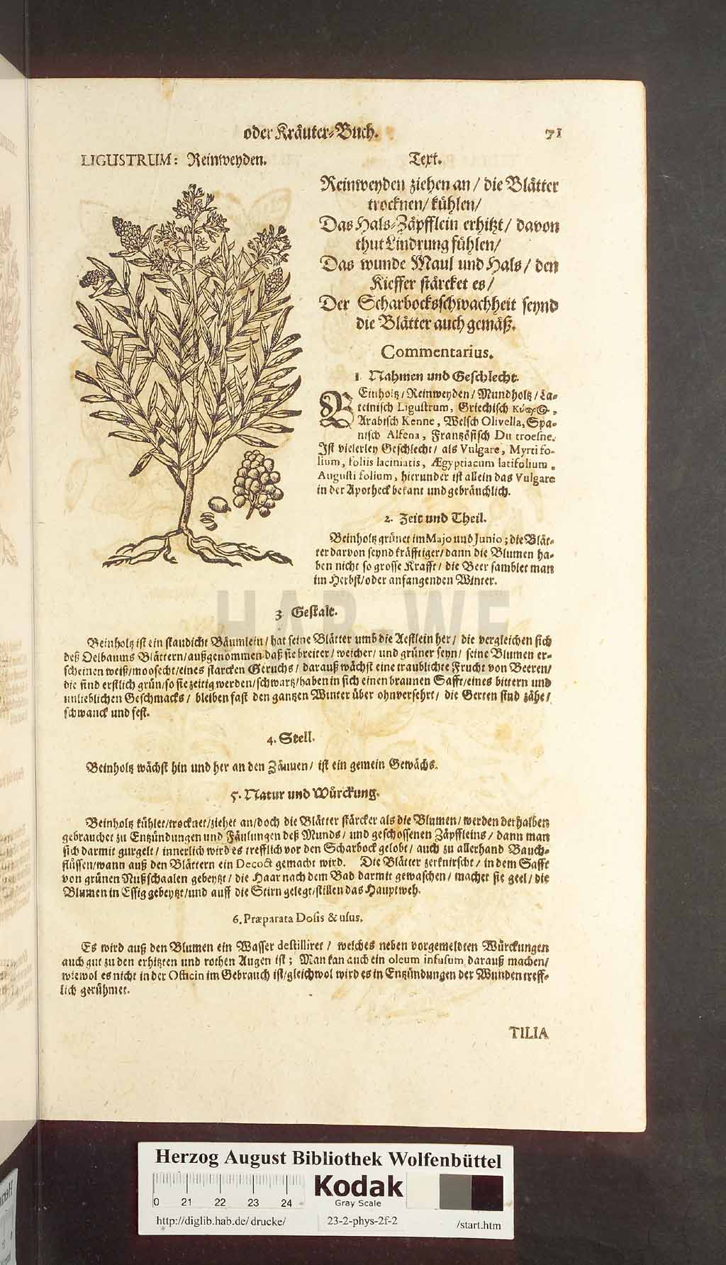 http://diglib.hab.de/drucke/23-2-phys-2f-2/00071.jpg