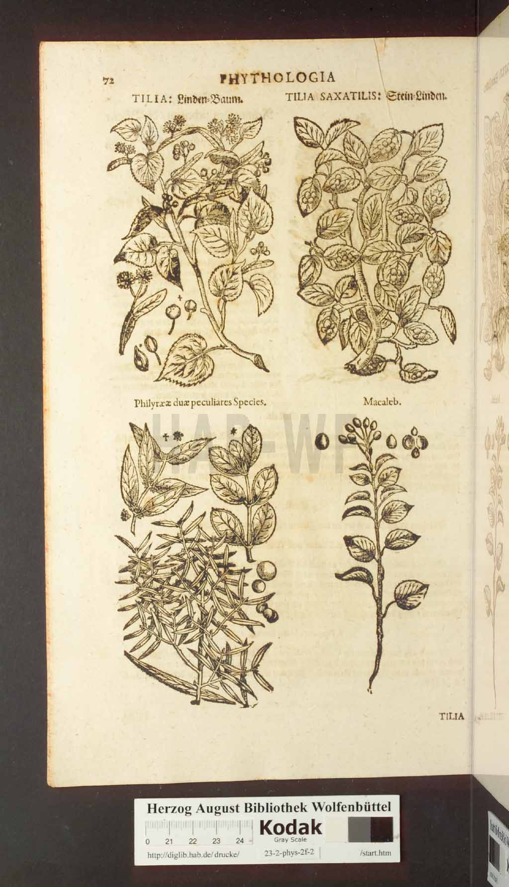 http://diglib.hab.de/drucke/23-2-phys-2f-2/00072.jpg