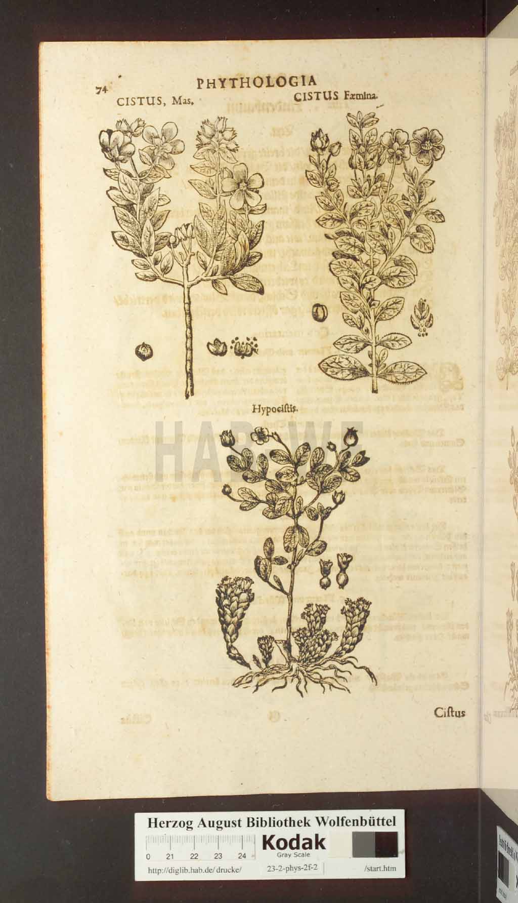 http://diglib.hab.de/drucke/23-2-phys-2f-2/00074.jpg