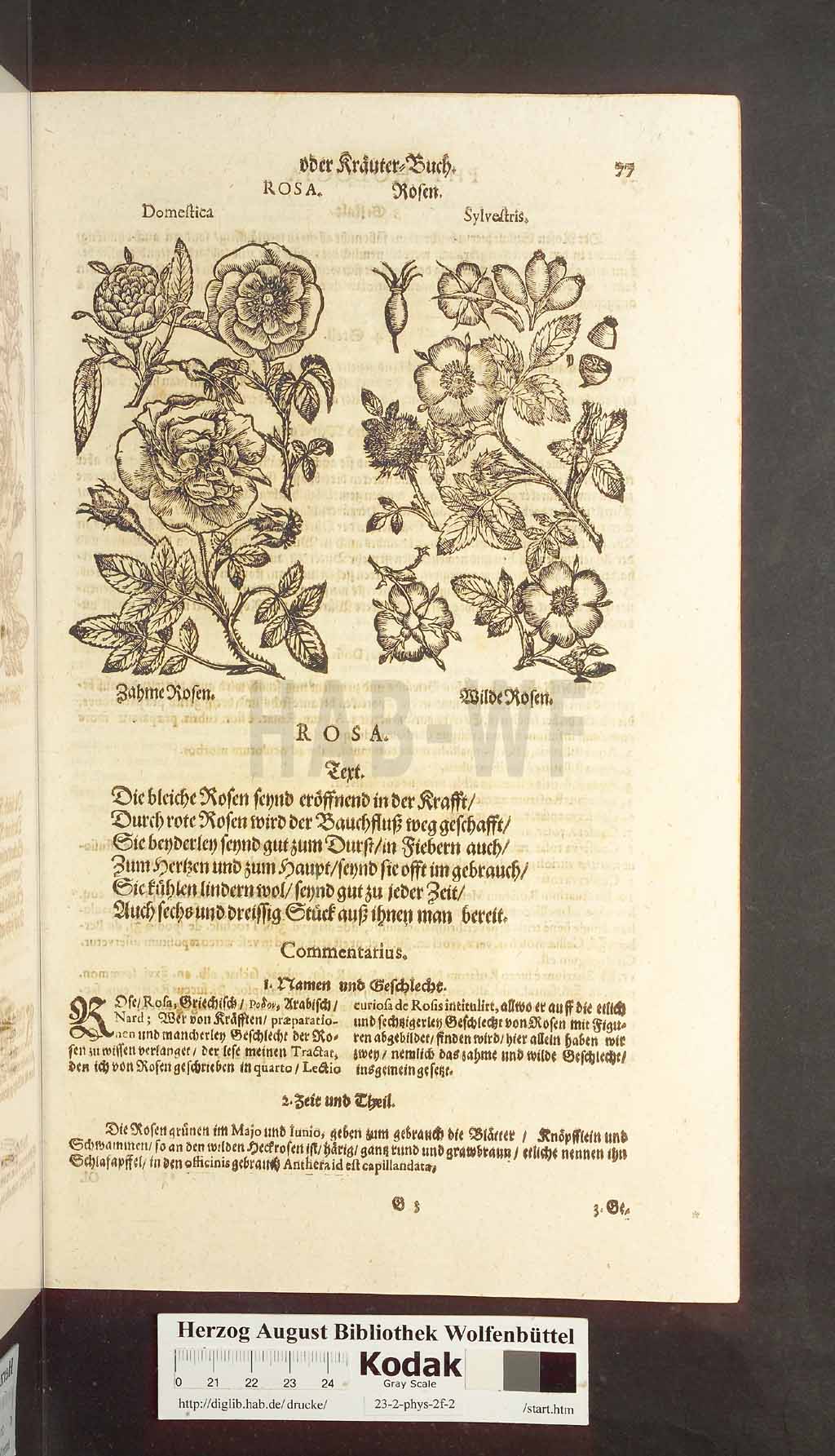 http://diglib.hab.de/drucke/23-2-phys-2f-2/00077.jpg