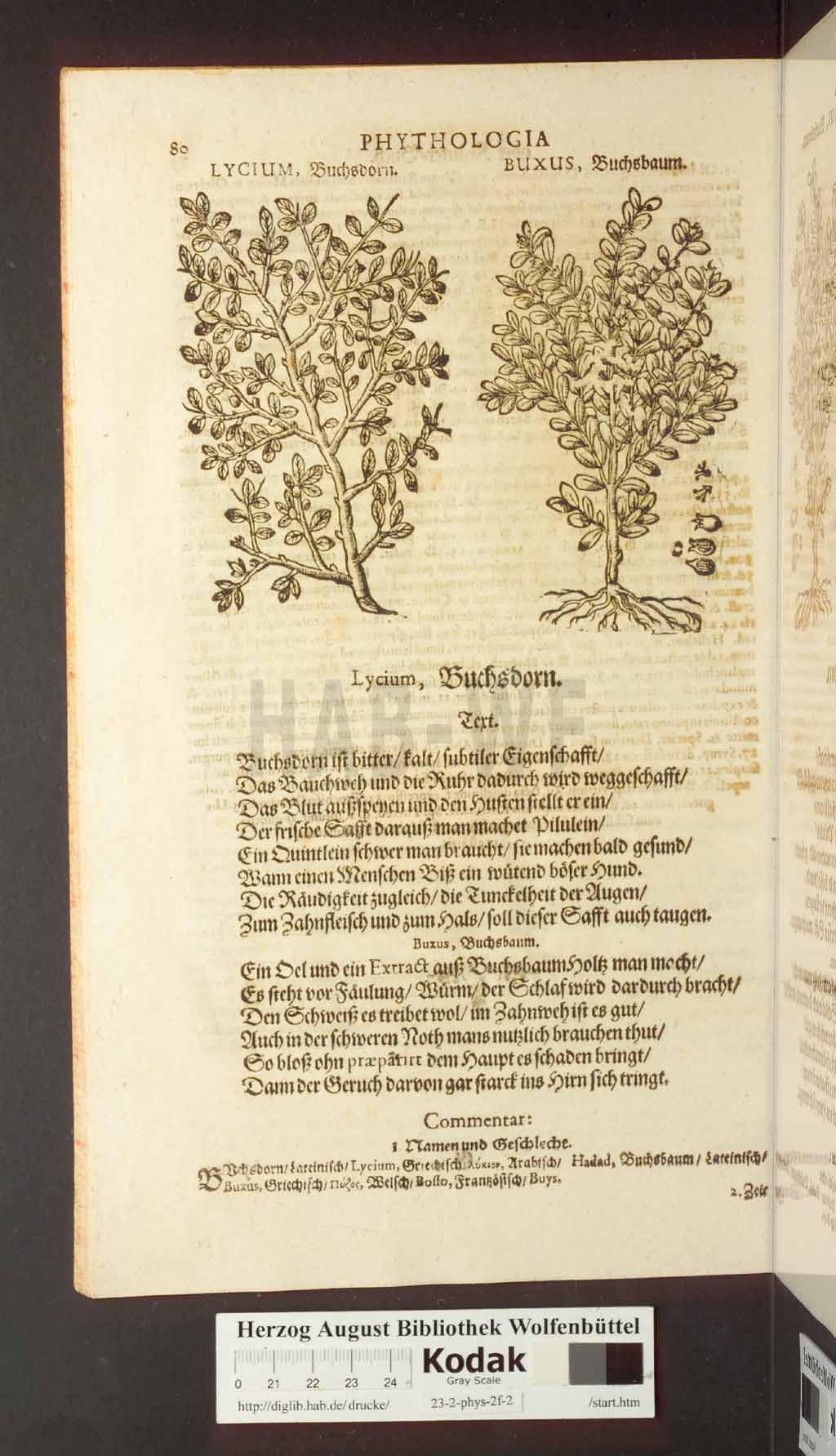 http://diglib.hab.de/drucke/23-2-phys-2f-2/00080.jpg