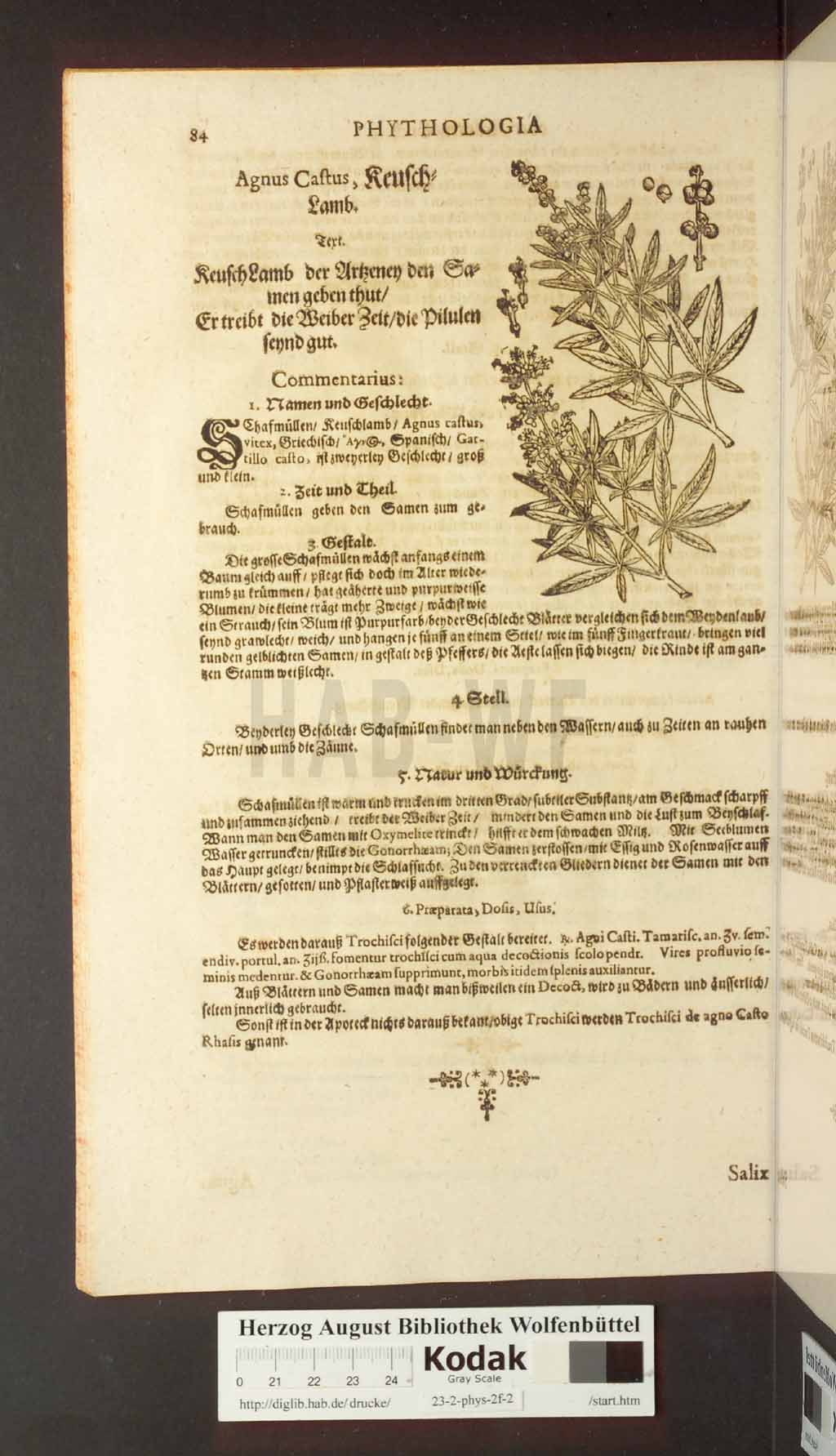 http://diglib.hab.de/drucke/23-2-phys-2f-2/00084.jpg