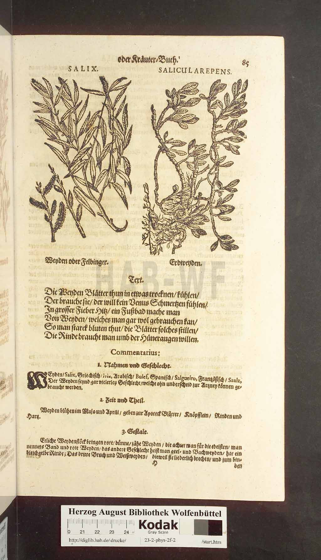 http://diglib.hab.de/drucke/23-2-phys-2f-2/00085.jpg