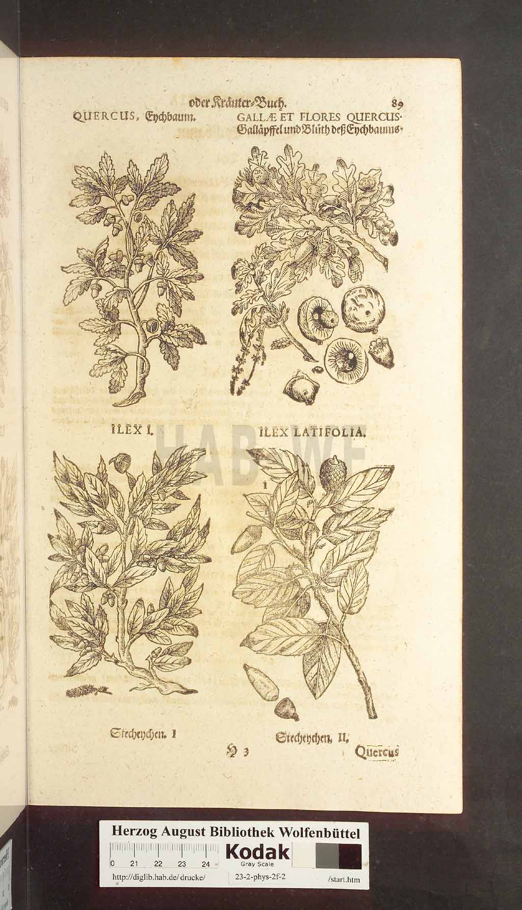 http://diglib.hab.de/drucke/23-2-phys-2f-2/00089.jpg