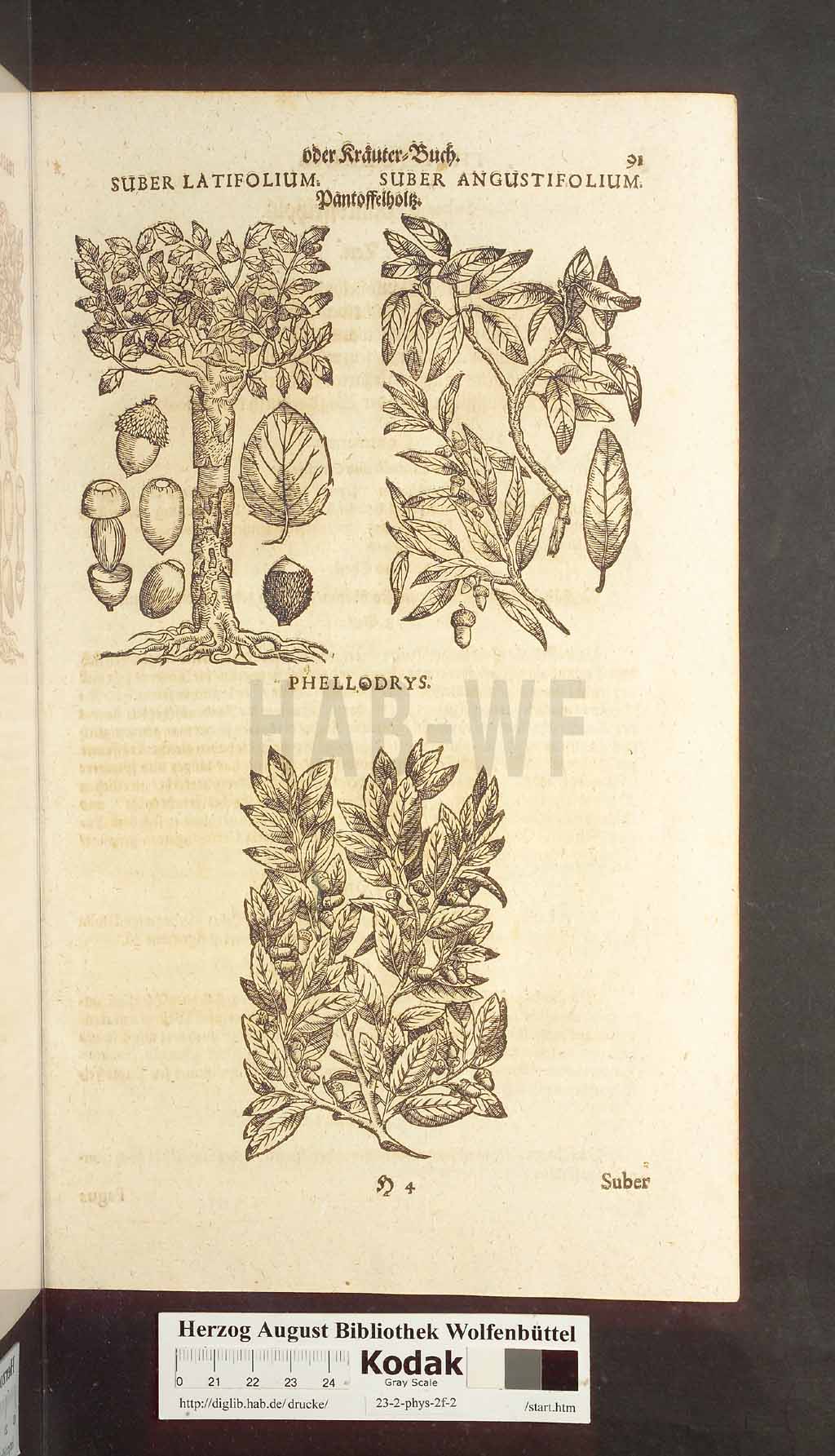 http://diglib.hab.de/drucke/23-2-phys-2f-2/00091.jpg