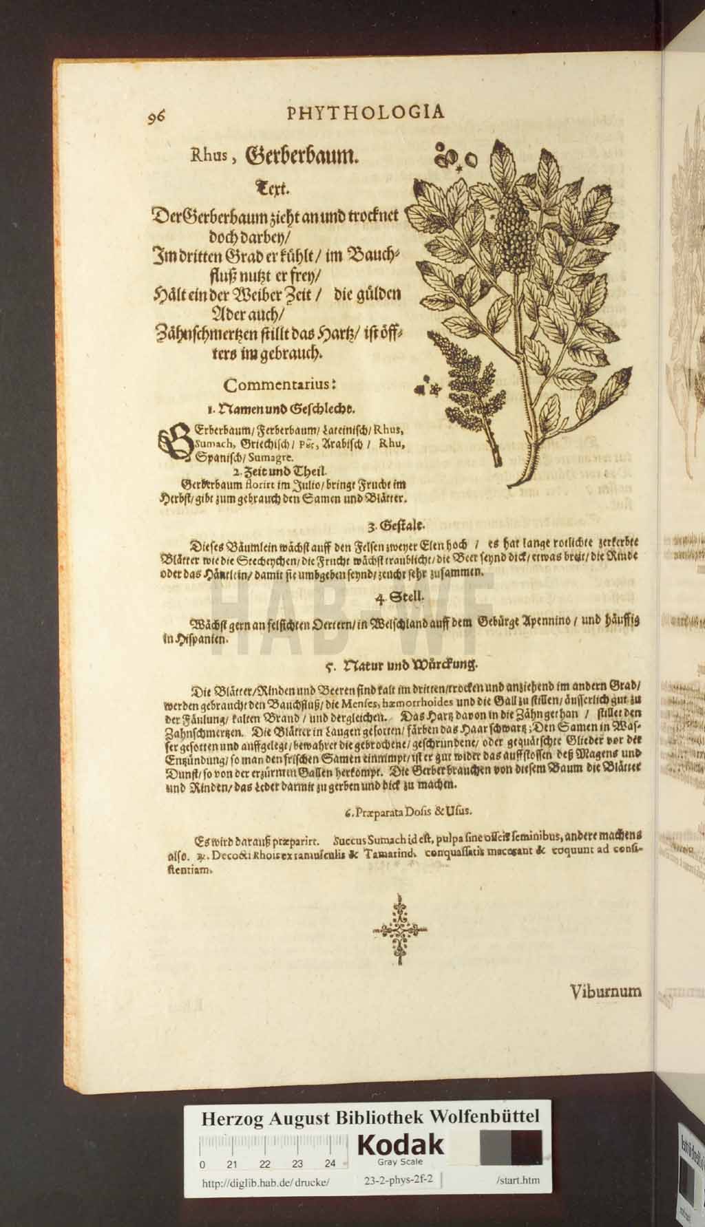 http://diglib.hab.de/drucke/23-2-phys-2f-2/00096.jpg