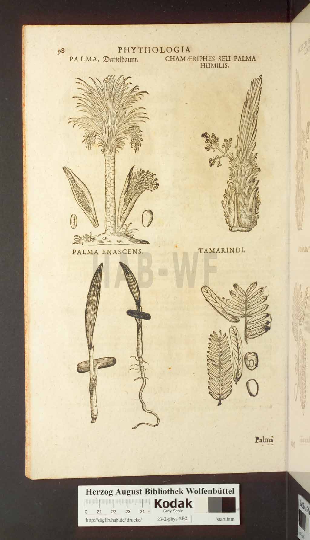 http://diglib.hab.de/drucke/23-2-phys-2f-2/00098.jpg