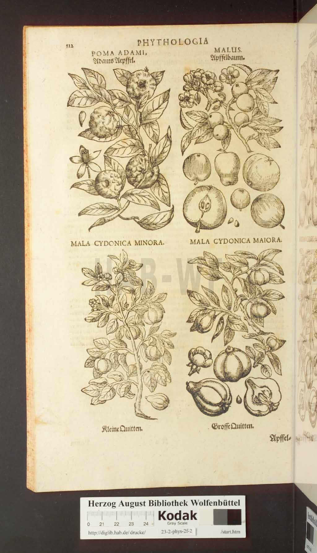 http://diglib.hab.de/drucke/23-2-phys-2f-2/00112.jpg
