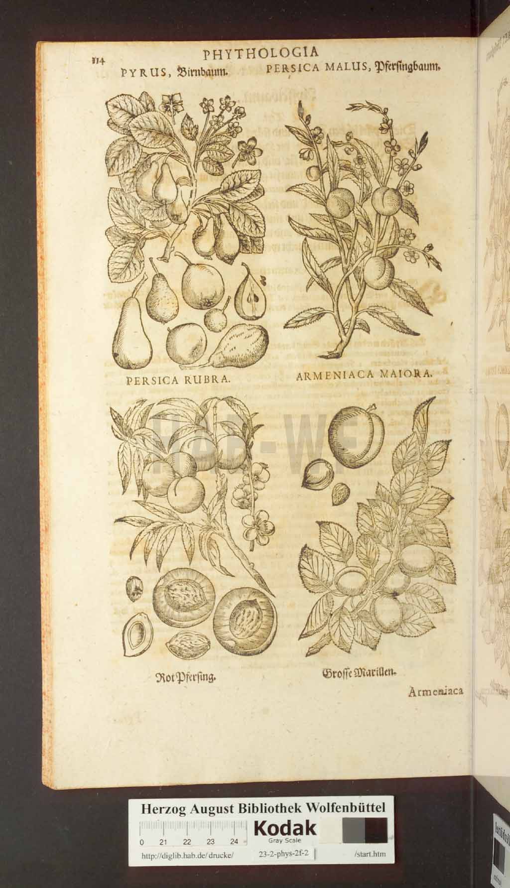 http://diglib.hab.de/drucke/23-2-phys-2f-2/00114.jpg