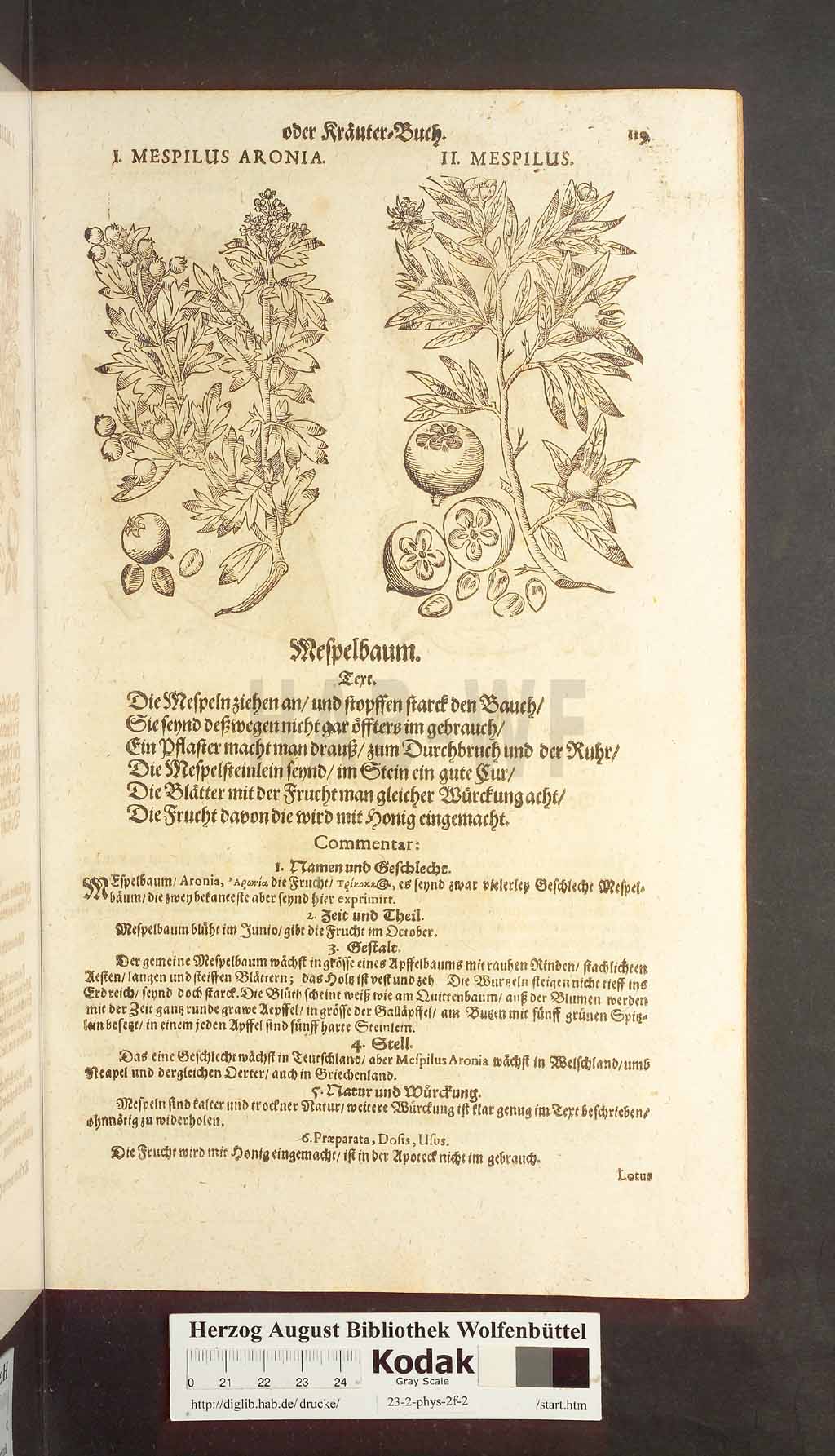 http://diglib.hab.de/drucke/23-2-phys-2f-2/00117.jpg