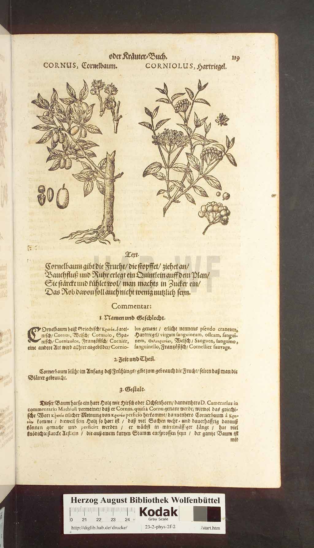http://diglib.hab.de/drucke/23-2-phys-2f-2/00119.jpg