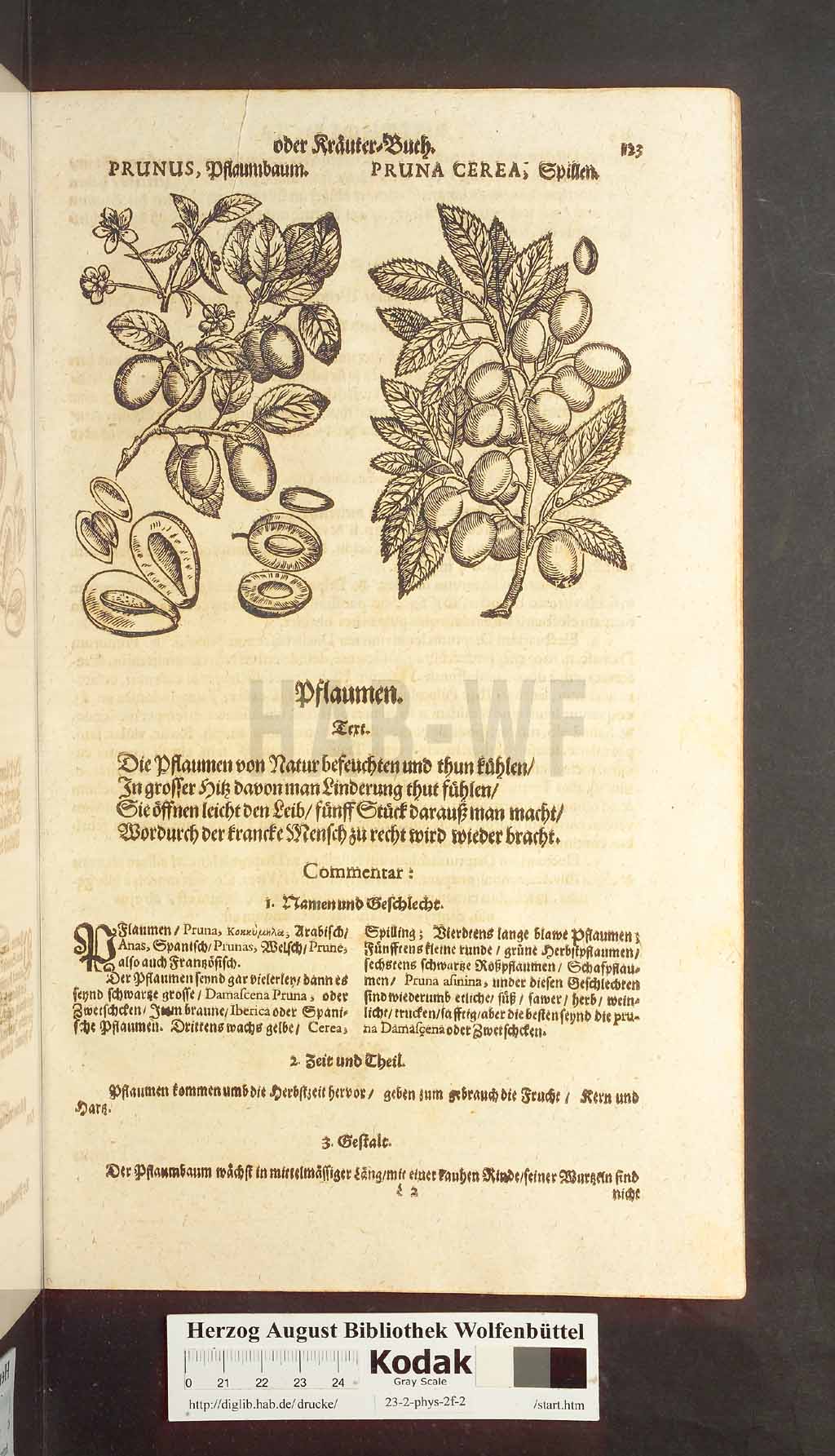 http://diglib.hab.de/drucke/23-2-phys-2f-2/00123.jpg