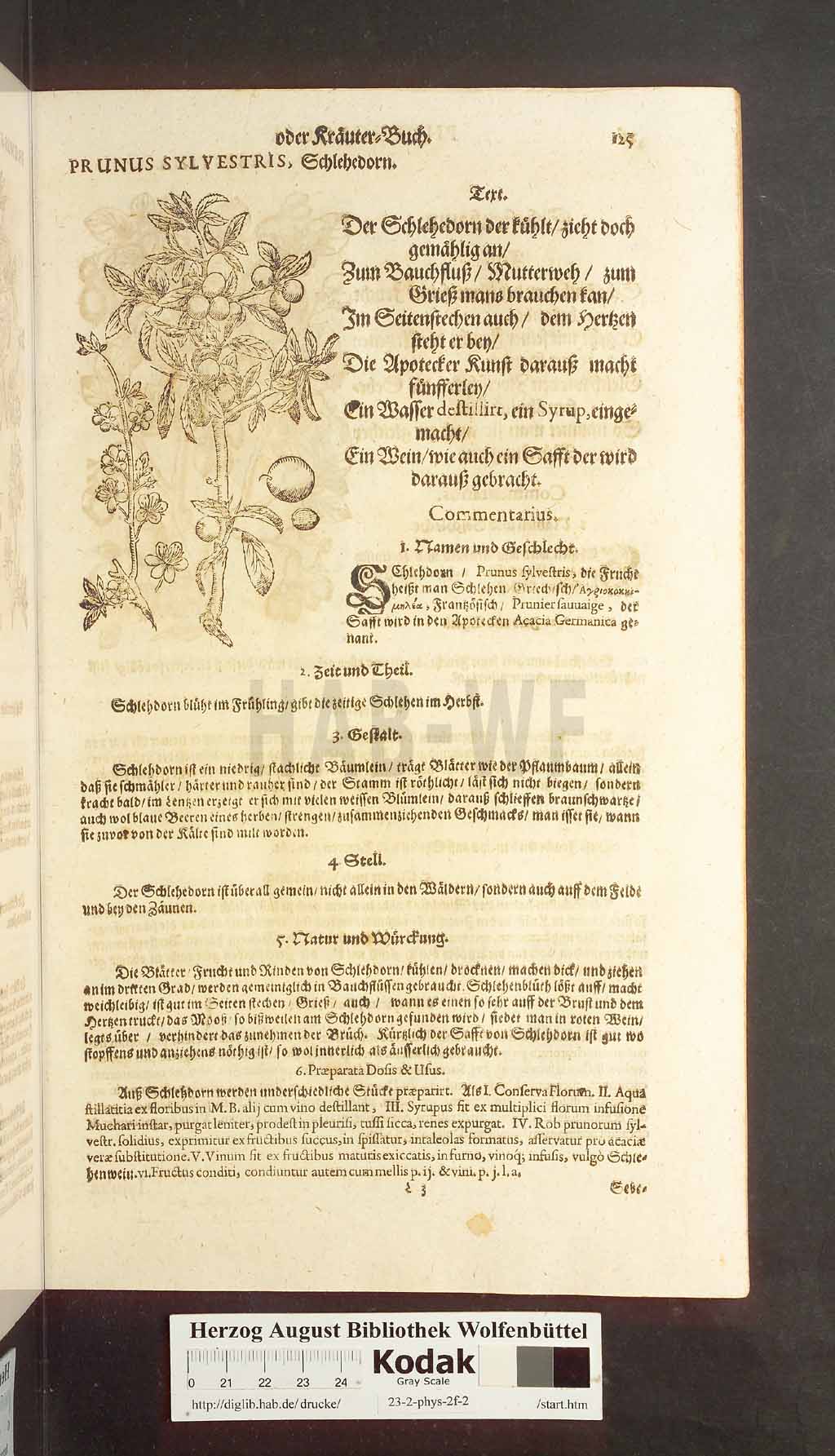 http://diglib.hab.de/drucke/23-2-phys-2f-2/00125.jpg