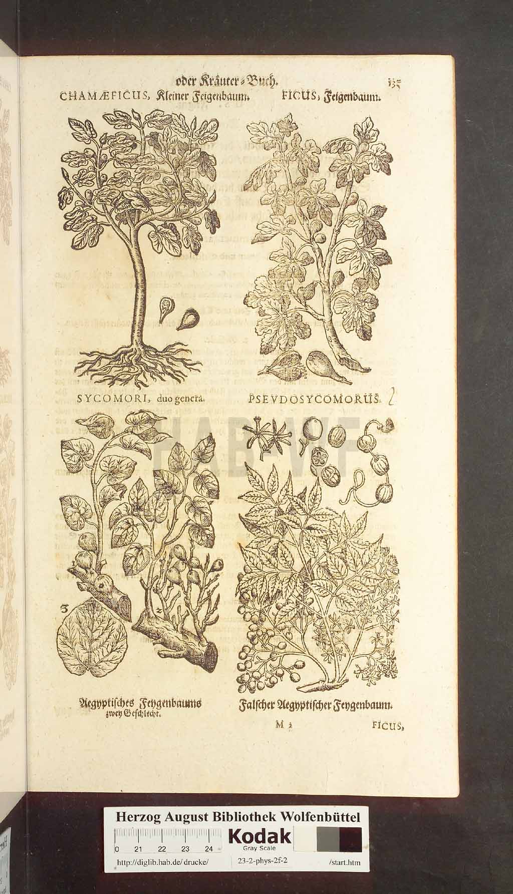 http://diglib.hab.de/drucke/23-2-phys-2f-2/00135.jpg