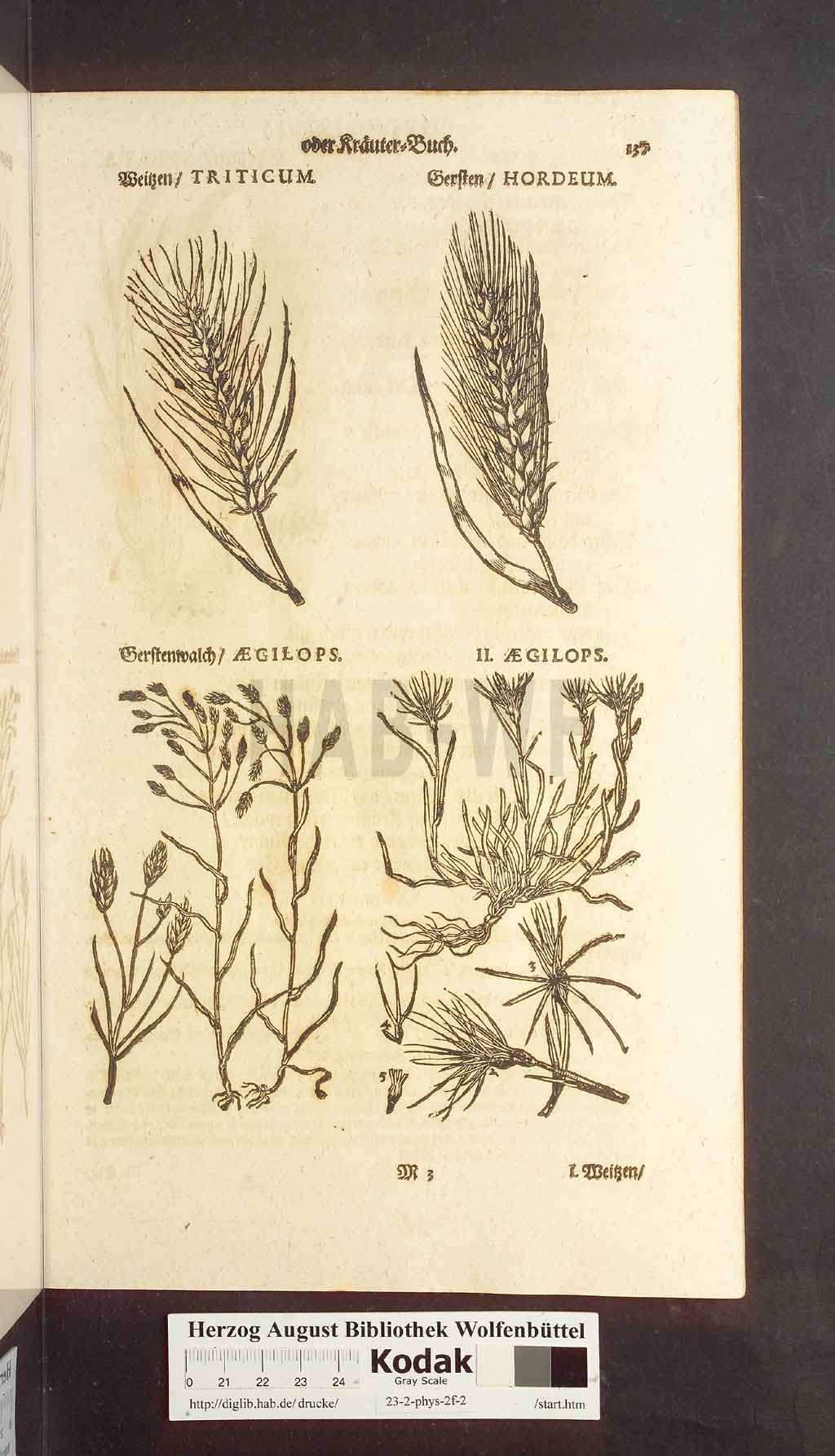 http://diglib.hab.de/drucke/23-2-phys-2f-2/00137.jpg