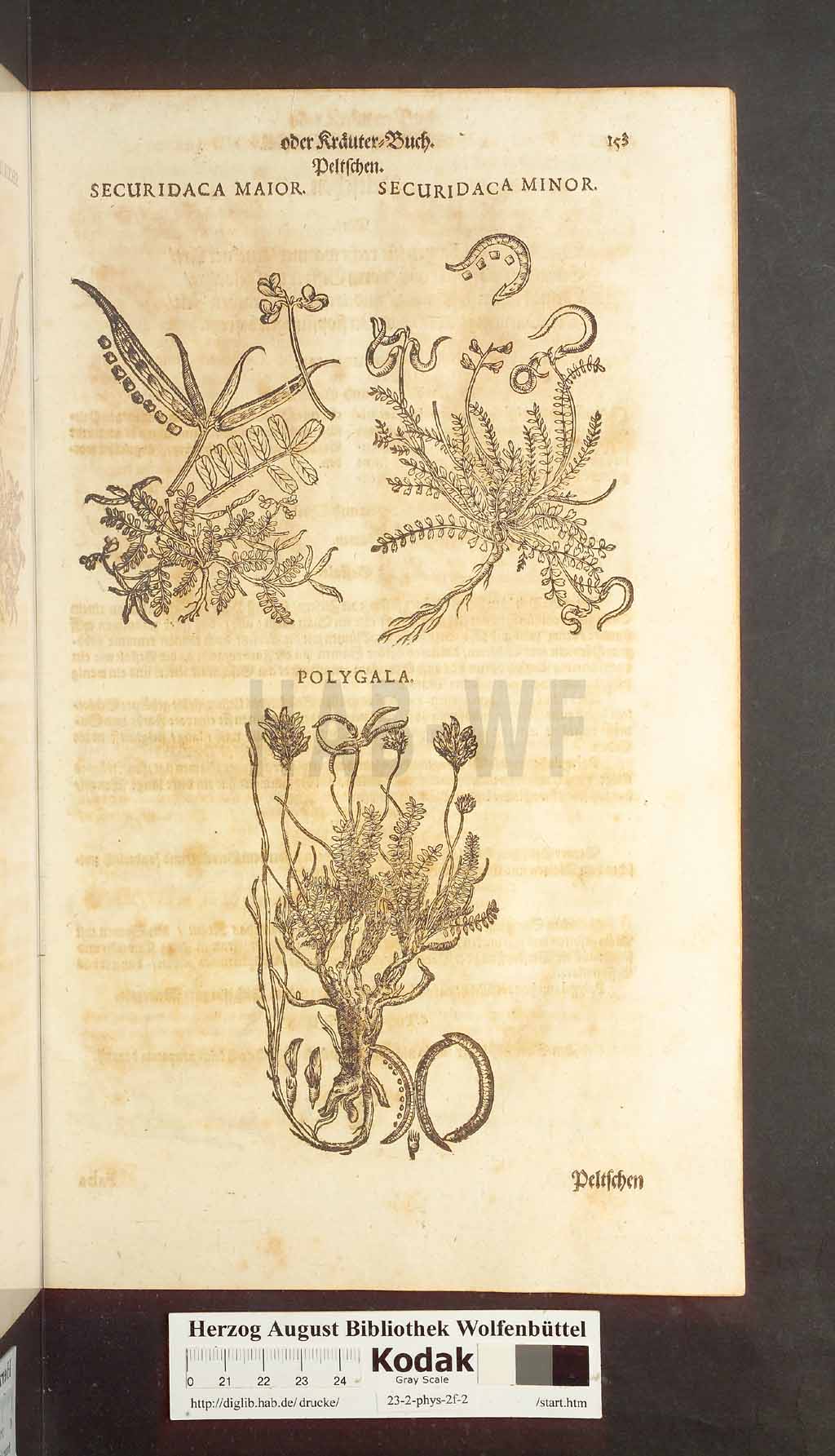 http://diglib.hab.de/drucke/23-2-phys-2f-2/00153.jpg