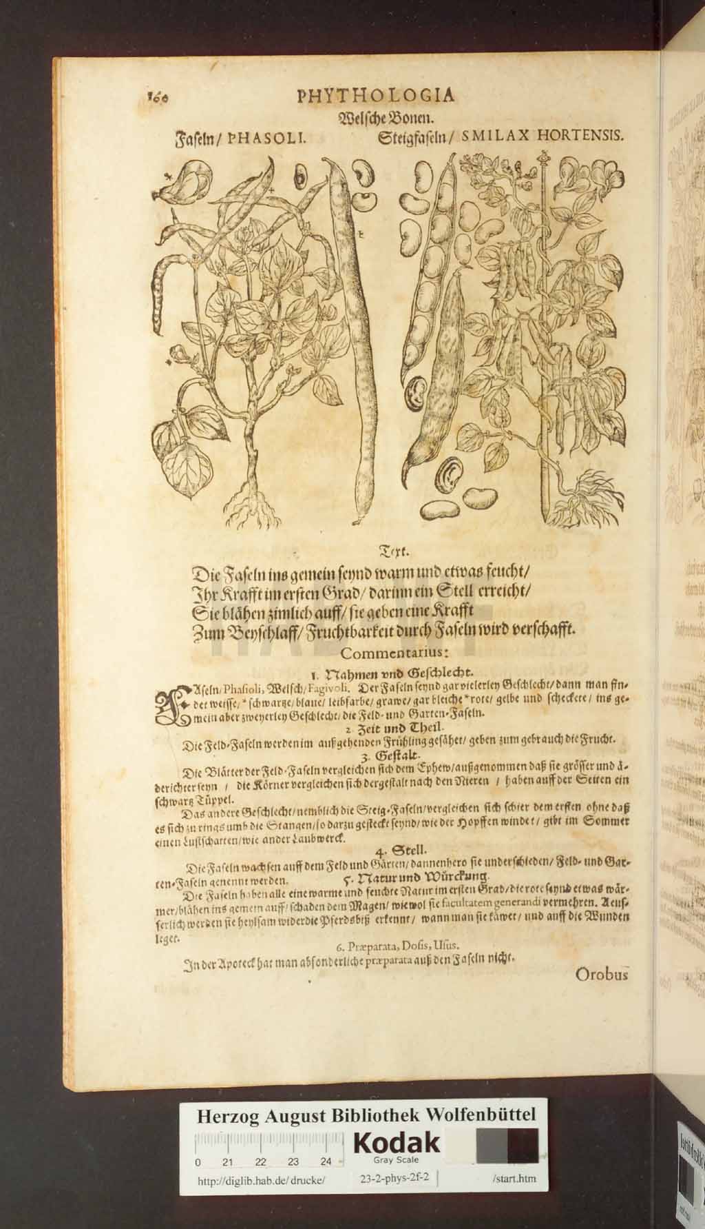 http://diglib.hab.de/drucke/23-2-phys-2f-2/00160.jpg