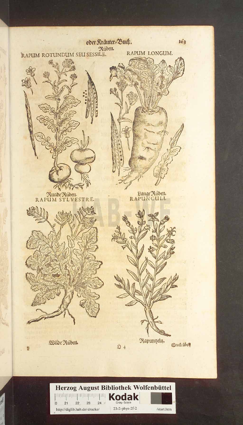 http://diglib.hab.de/drucke/23-2-phys-2f-2/00163.jpg
