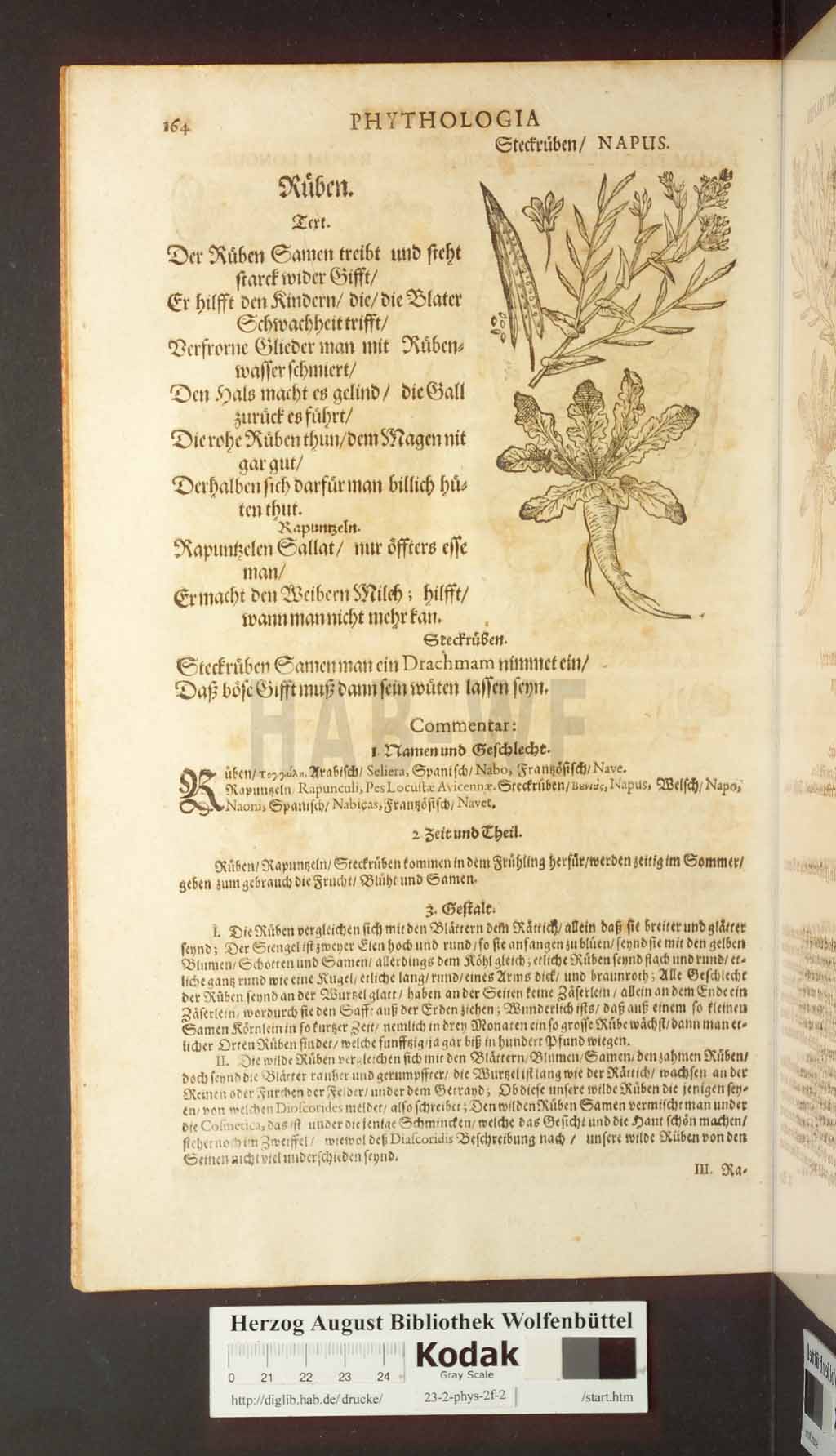 http://diglib.hab.de/drucke/23-2-phys-2f-2/00164.jpg