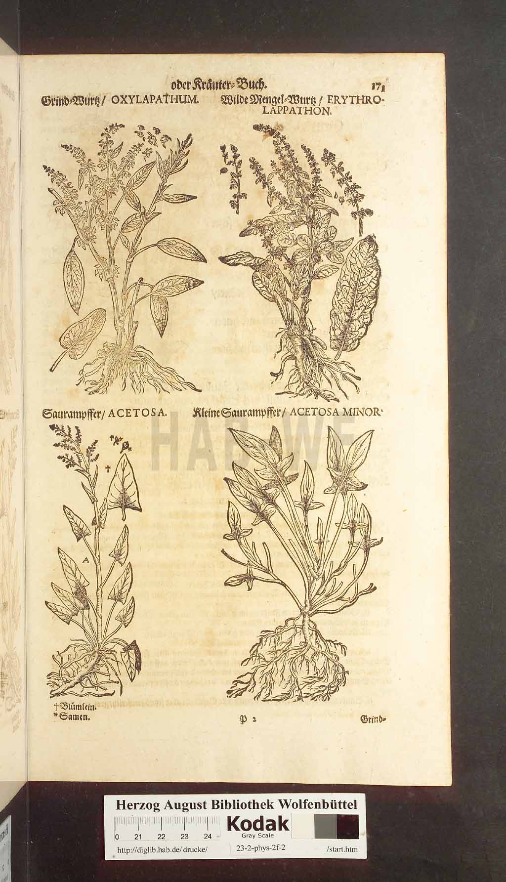 http://diglib.hab.de/drucke/23-2-phys-2f-2/00171.jpg