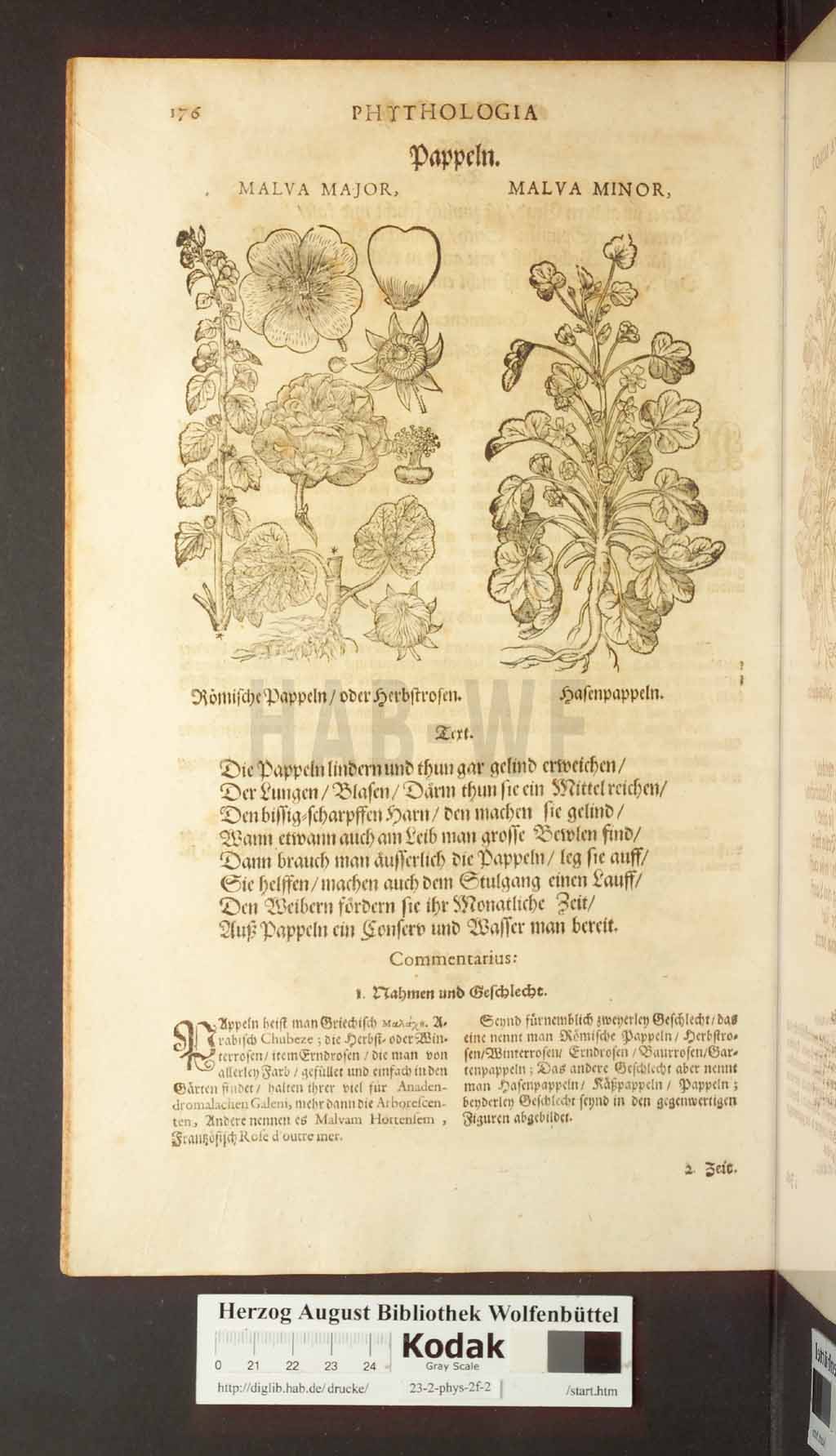 http://diglib.hab.de/drucke/23-2-phys-2f-2/00176.jpg