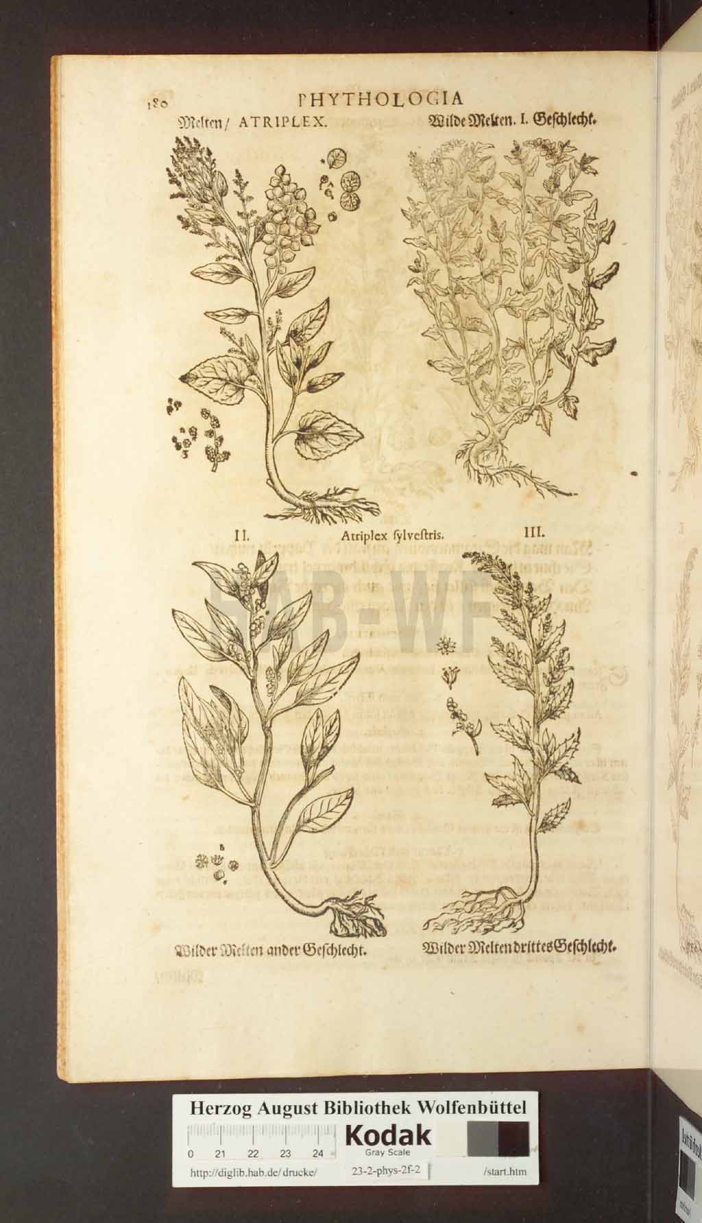 http://diglib.hab.de/drucke/23-2-phys-2f-2/00180.jpg