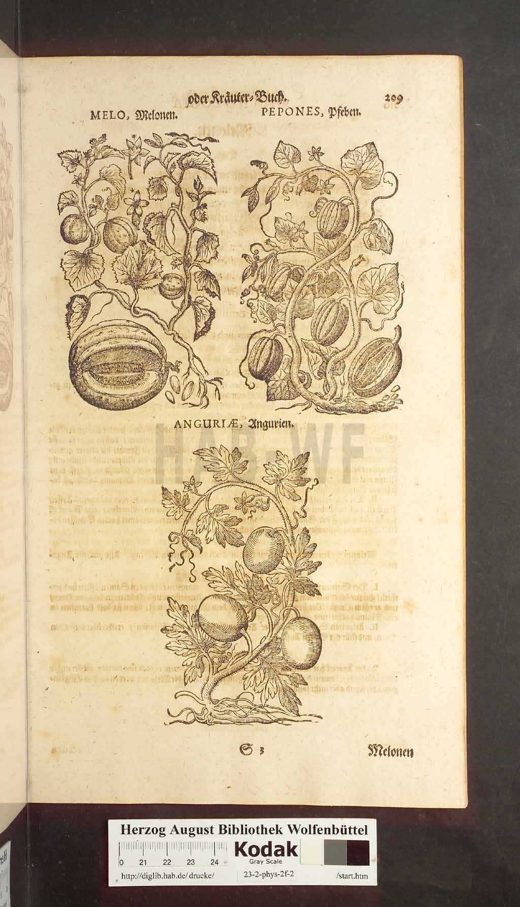 http://diglib.hab.de/drucke/23-2-phys-2f-2/00209.jpg