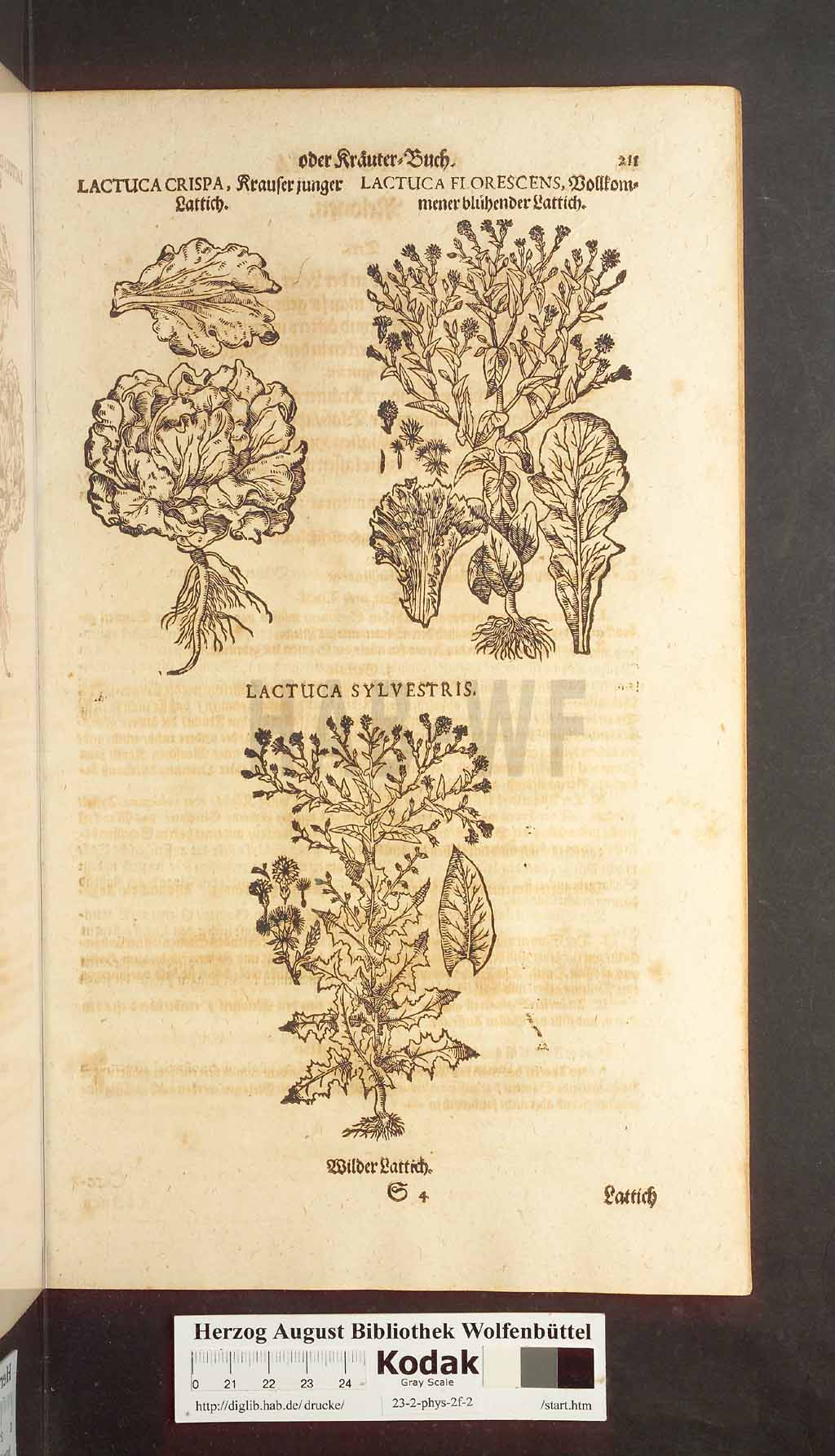 http://diglib.hab.de/drucke/23-2-phys-2f-2/00211.jpg