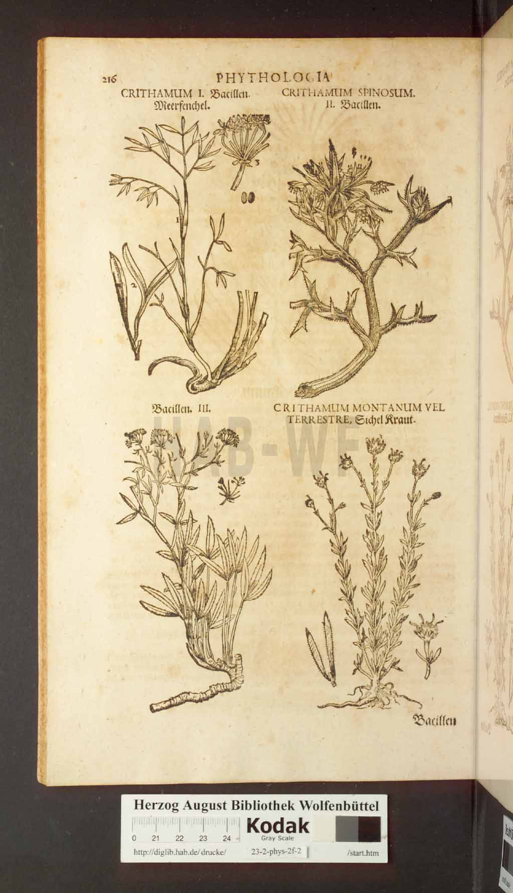 http://diglib.hab.de/drucke/23-2-phys-2f-2/00216.jpg
