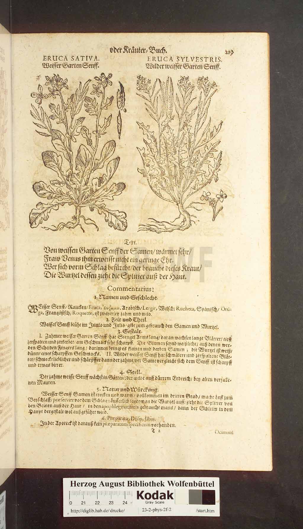 http://diglib.hab.de/drucke/23-2-phys-2f-2/00219.jpg