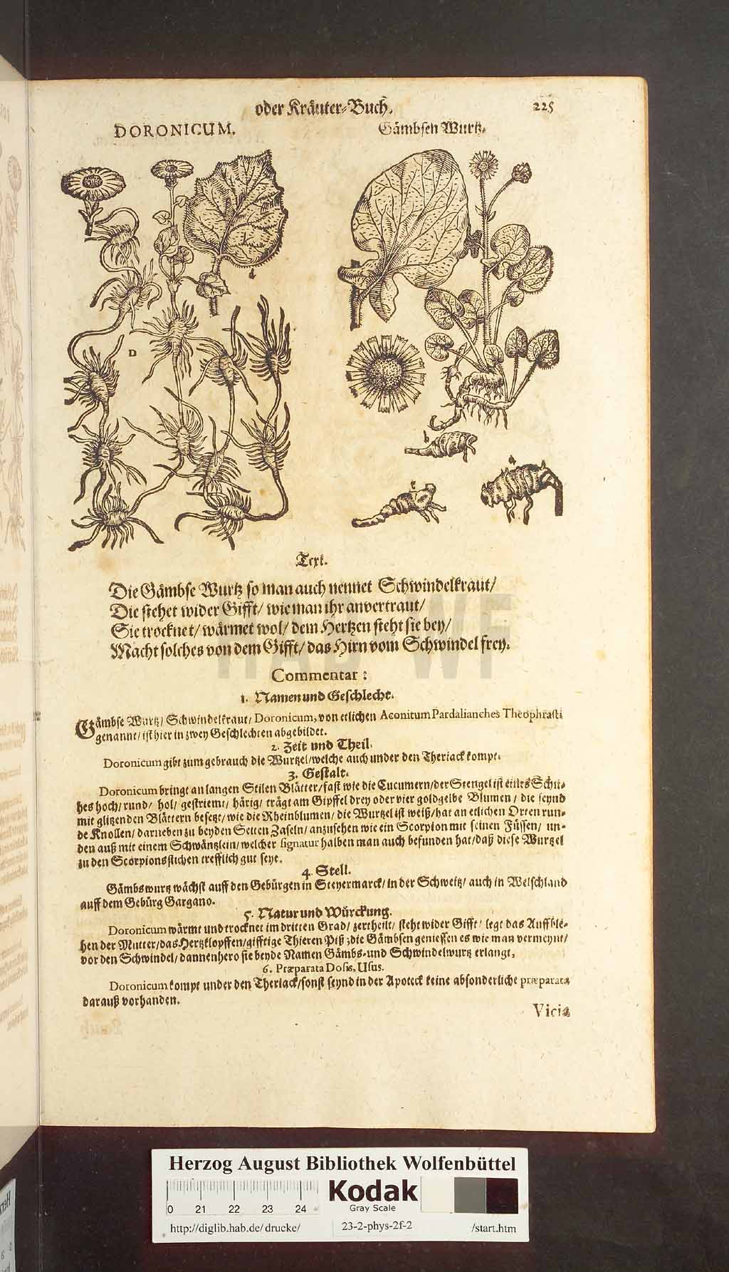 http://diglib.hab.de/drucke/23-2-phys-2f-2/00225.jpg