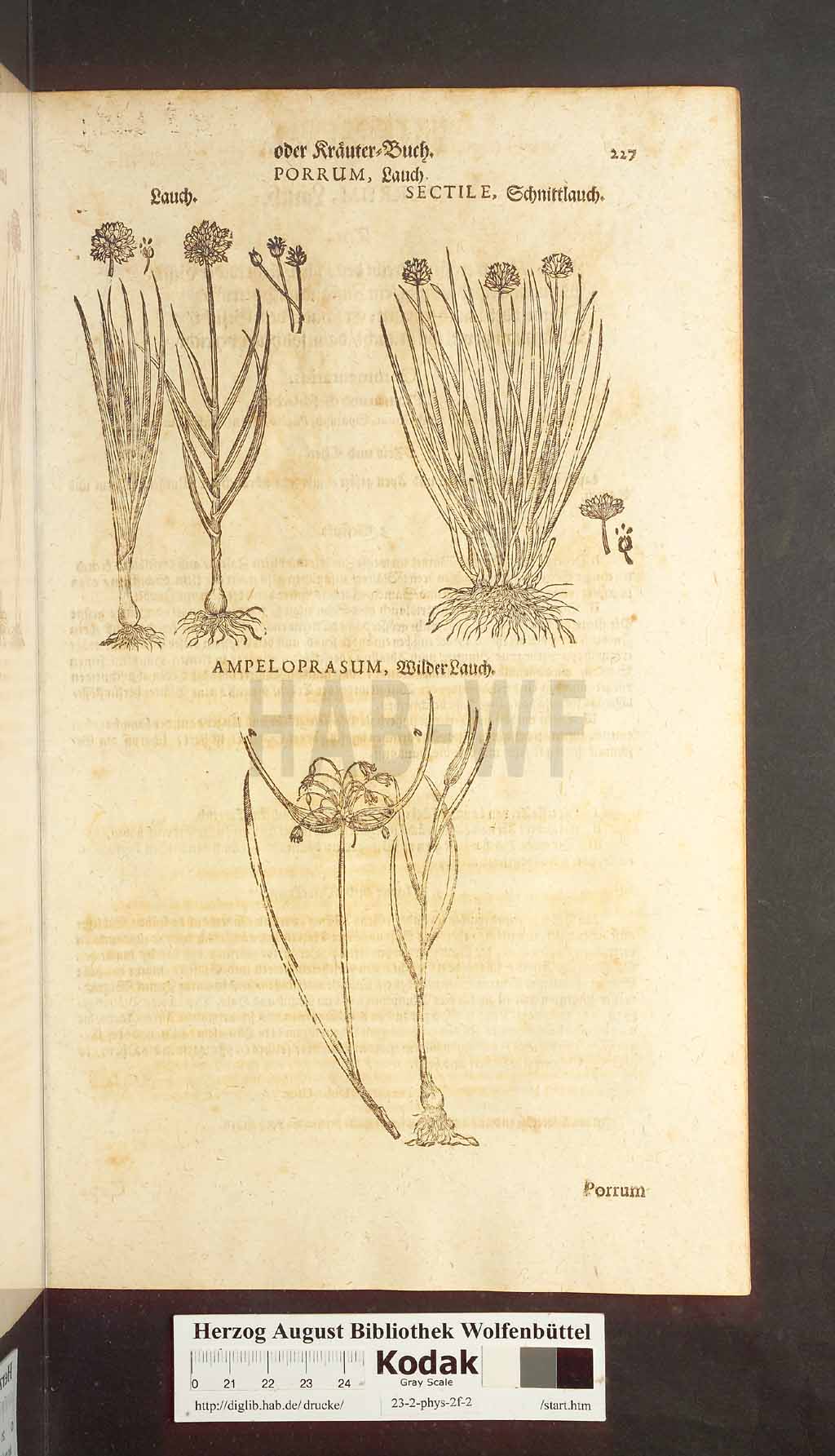 http://diglib.hab.de/drucke/23-2-phys-2f-2/00227.jpg