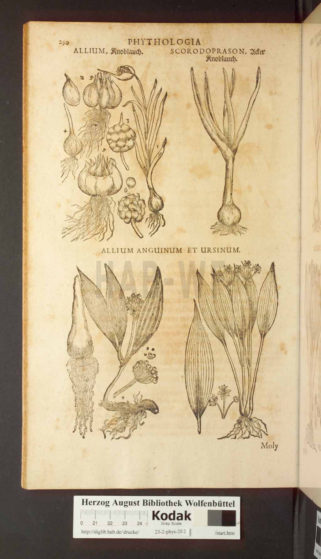 http://diglib.hab.de/drucke/23-2-phys-2f-2/00230.jpg
