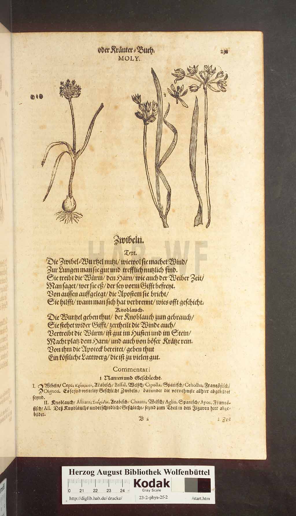 http://diglib.hab.de/drucke/23-2-phys-2f-2/00231.jpg