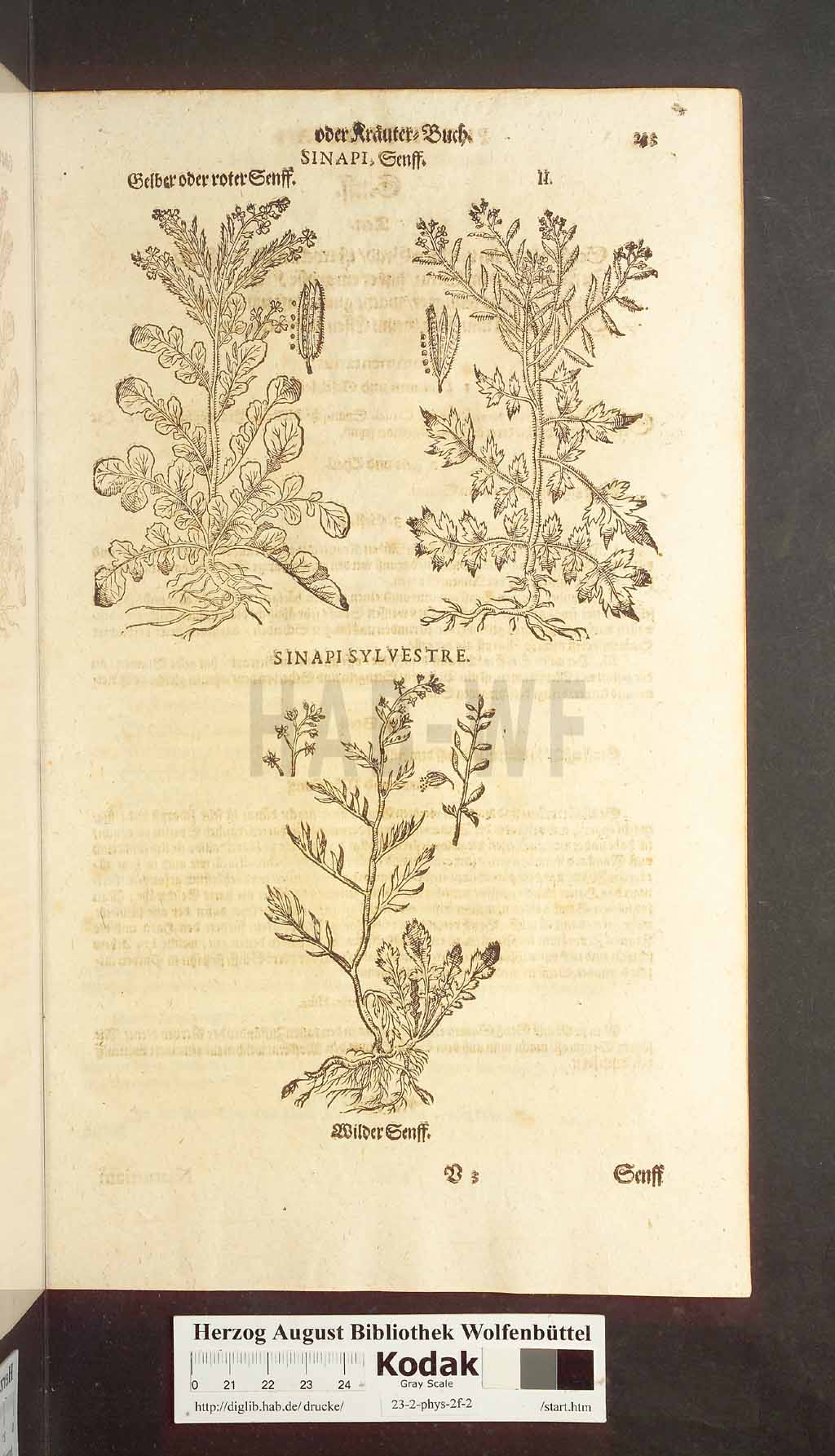 http://diglib.hab.de/drucke/23-2-phys-2f-2/00233.jpg