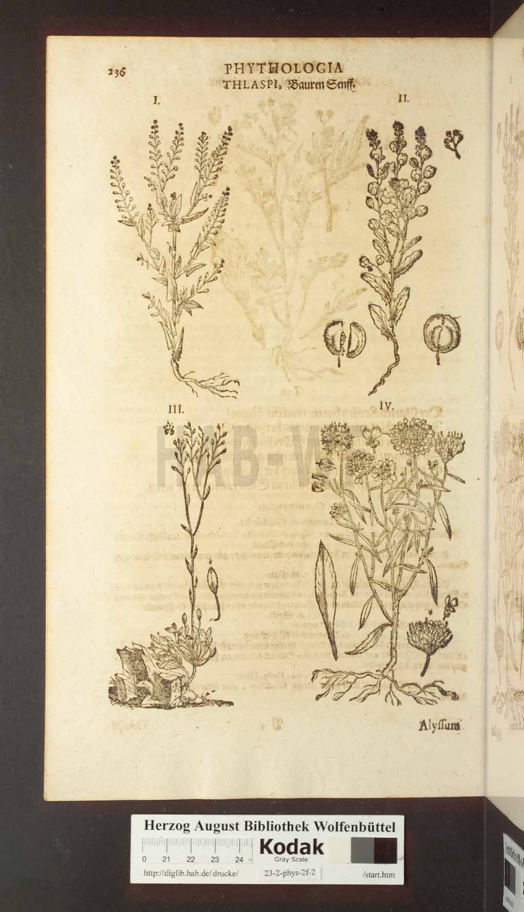 http://diglib.hab.de/drucke/23-2-phys-2f-2/00236.jpg