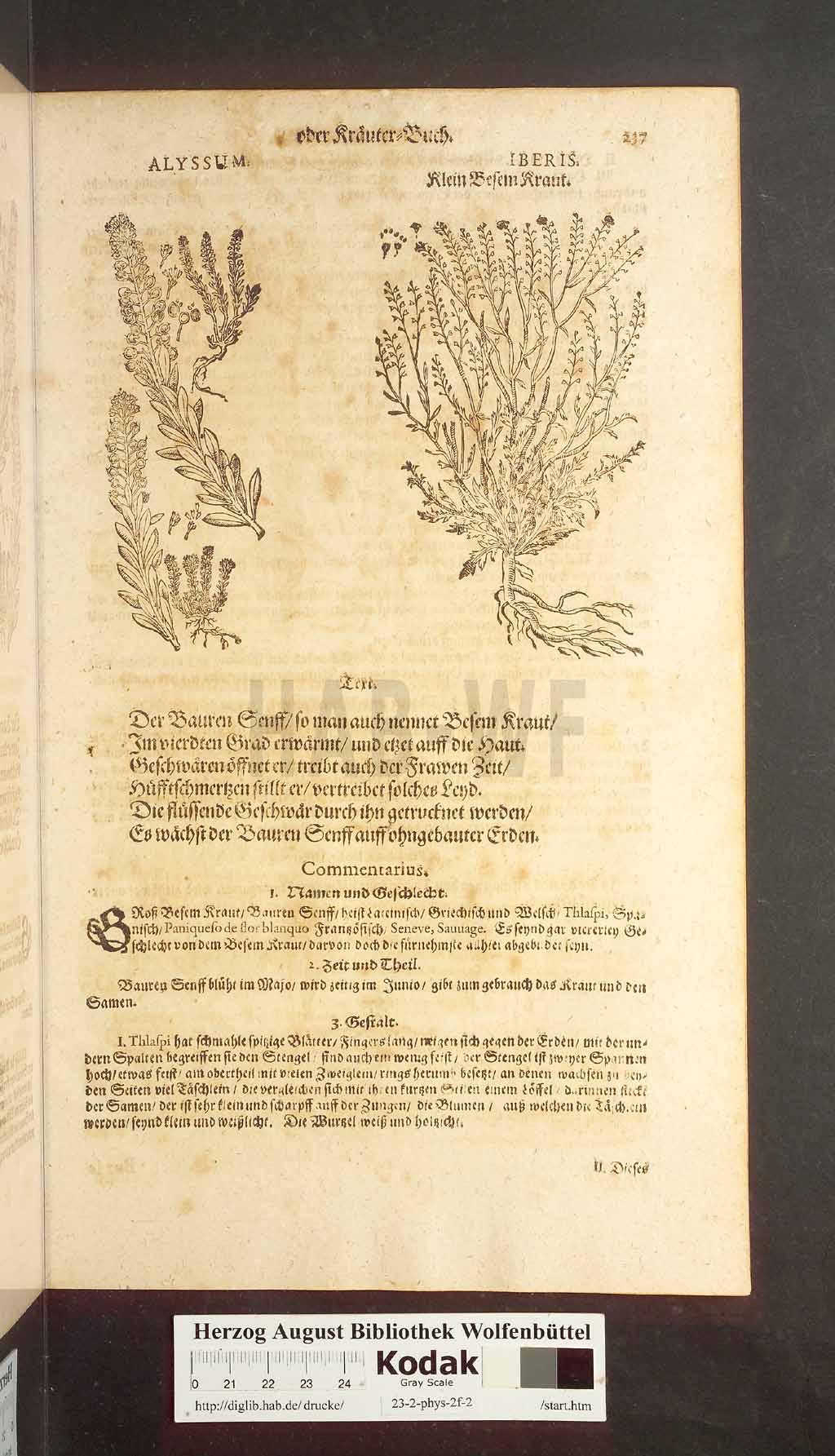 http://diglib.hab.de/drucke/23-2-phys-2f-2/00237.jpg