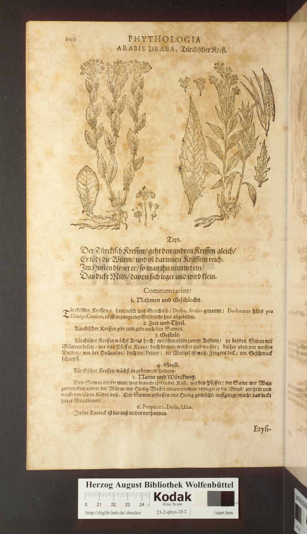 http://diglib.hab.de/drucke/23-2-phys-2f-2/00240.jpg