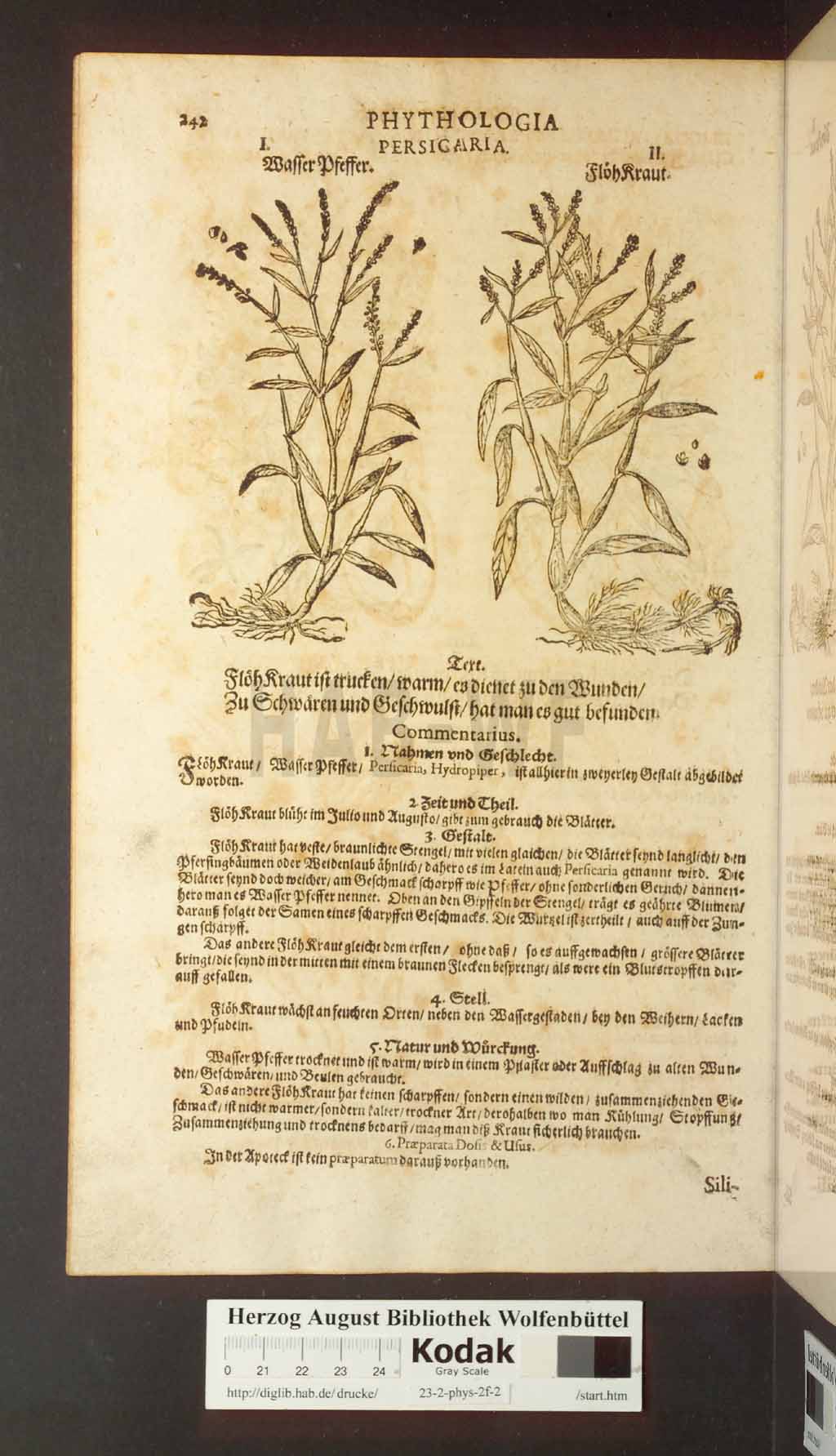 http://diglib.hab.de/drucke/23-2-phys-2f-2/00242.jpg
