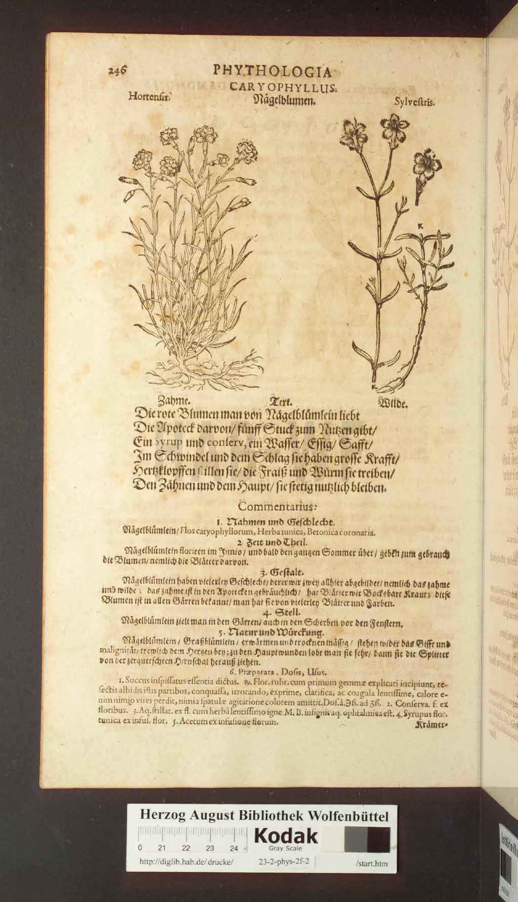 http://diglib.hab.de/drucke/23-2-phys-2f-2/00246.jpg